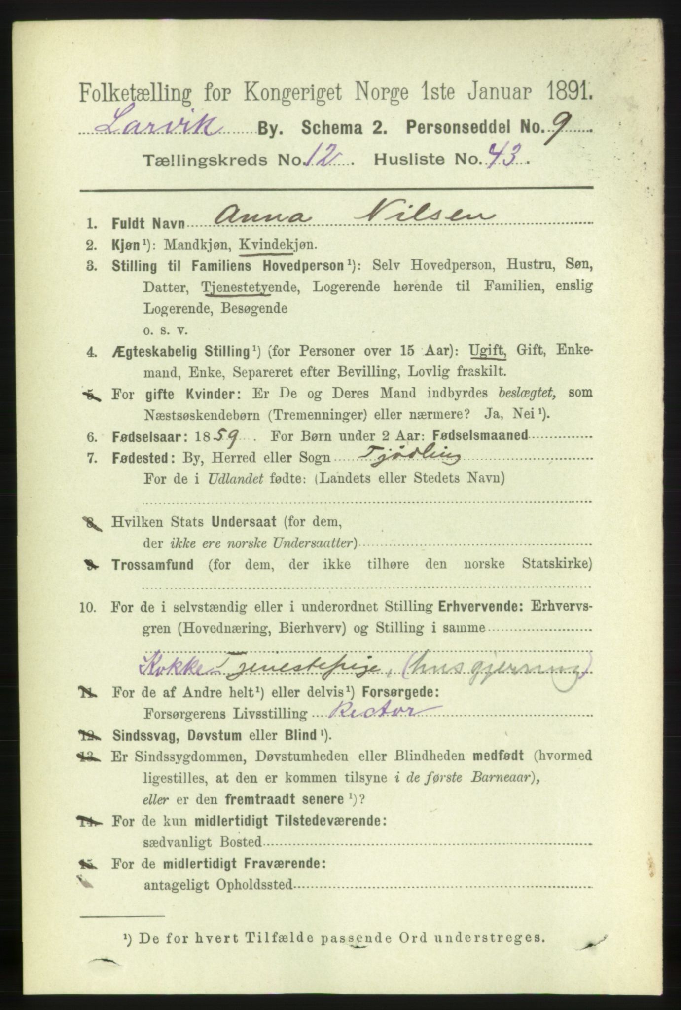 RA, 1891 census for 0707 Larvik, 1891, p. 10476