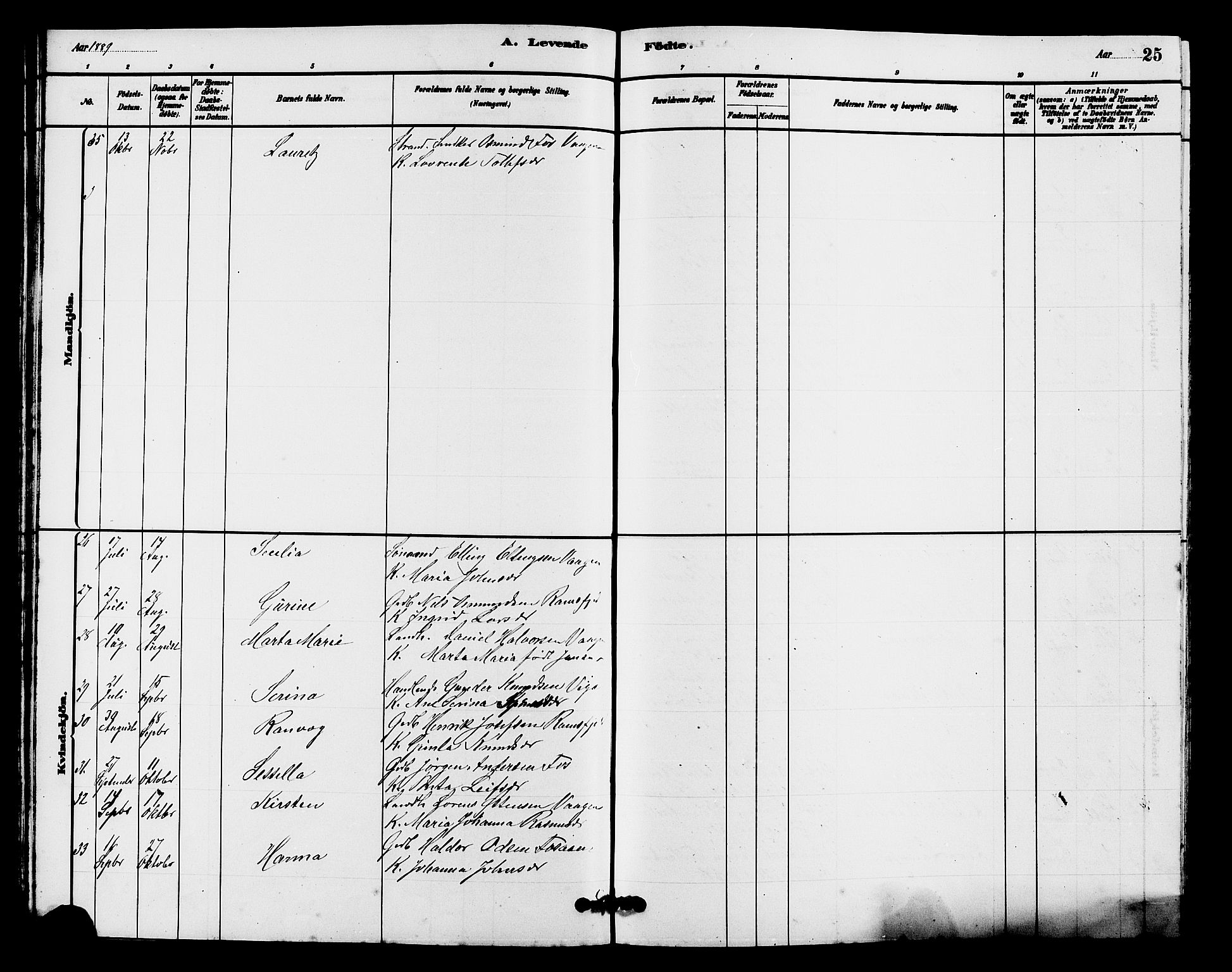 Hjelmeland sokneprestkontor, AV/SAST-A-101843/01/V/L0007: Parish register (copy) no. B 7, 1880-1909, p. 25