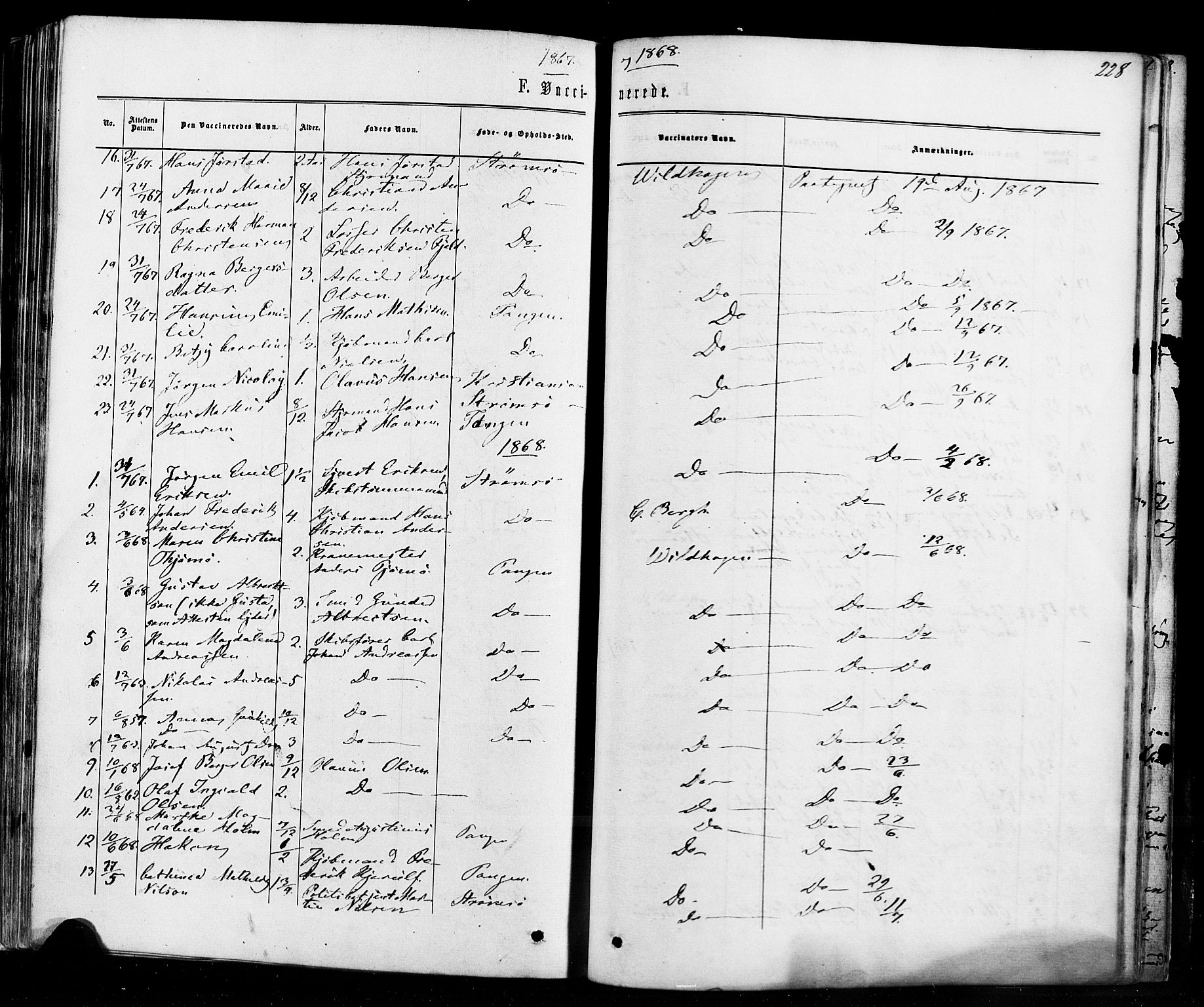 Strømsø kirkebøker, AV/SAKO-A-246/F/Fa/L0018: Parish register (official) no. I 18, 1865-1878, p. 228