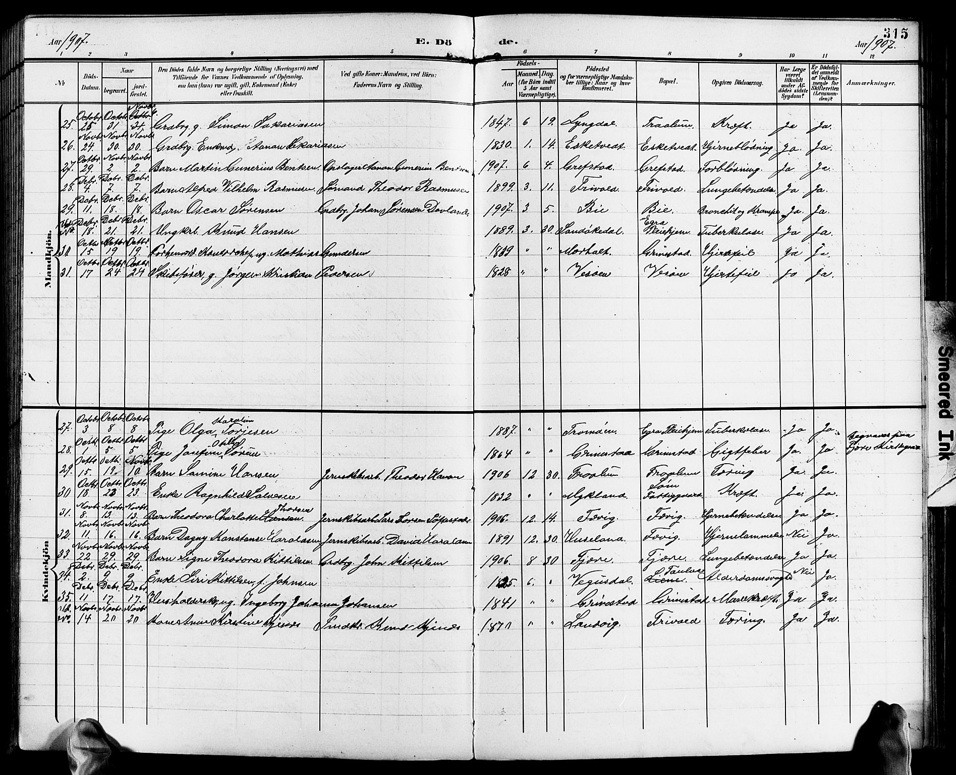 Fjære sokneprestkontor, AV/SAK-1111-0011/F/Fb/L0012: Parish register (copy) no. B 12, 1902-1925, p. 315