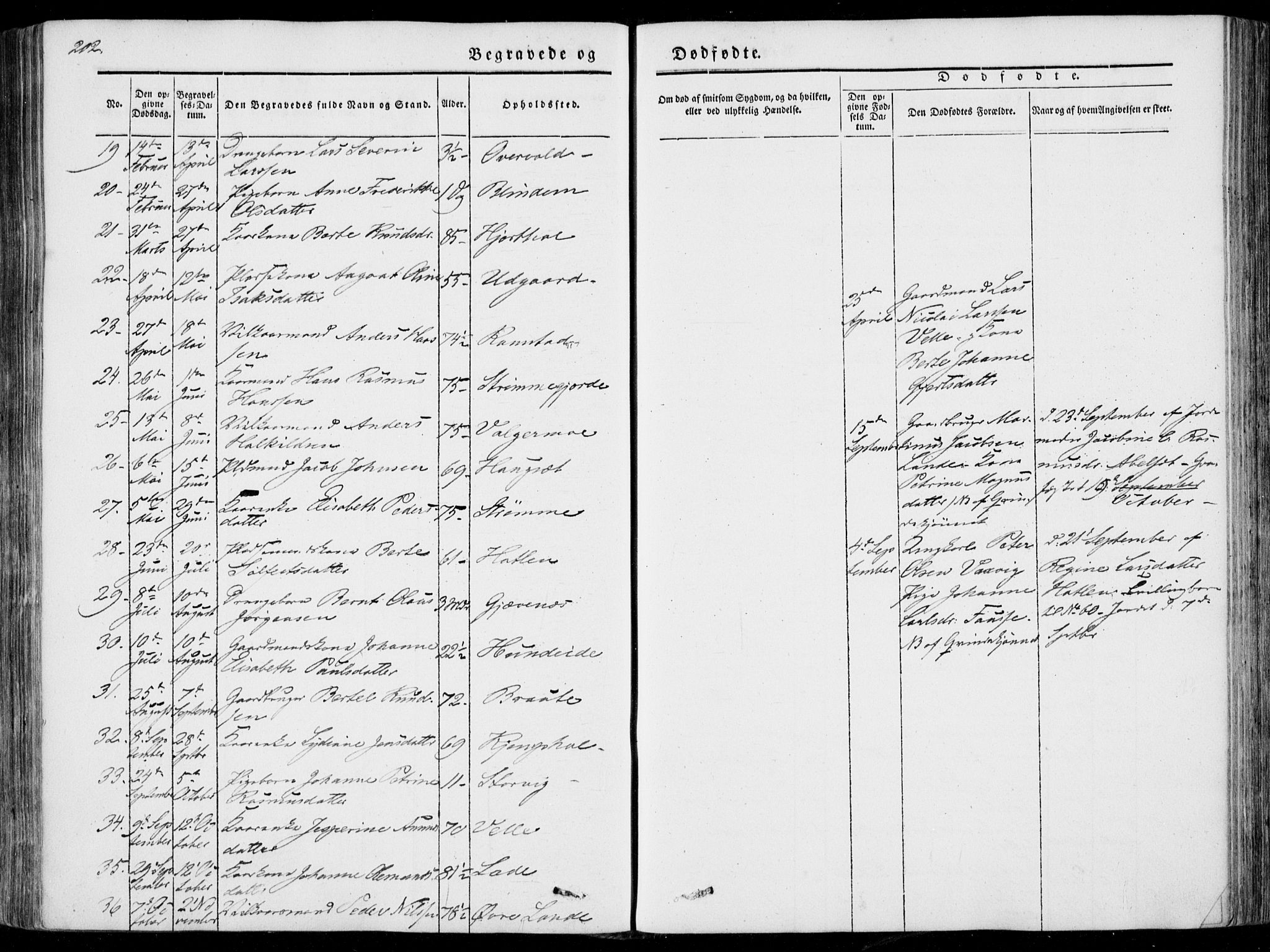 Ministerialprotokoller, klokkerbøker og fødselsregistre - Møre og Romsdal, AV/SAT-A-1454/522/L0313: Parish register (official) no. 522A08, 1852-1862, p. 202