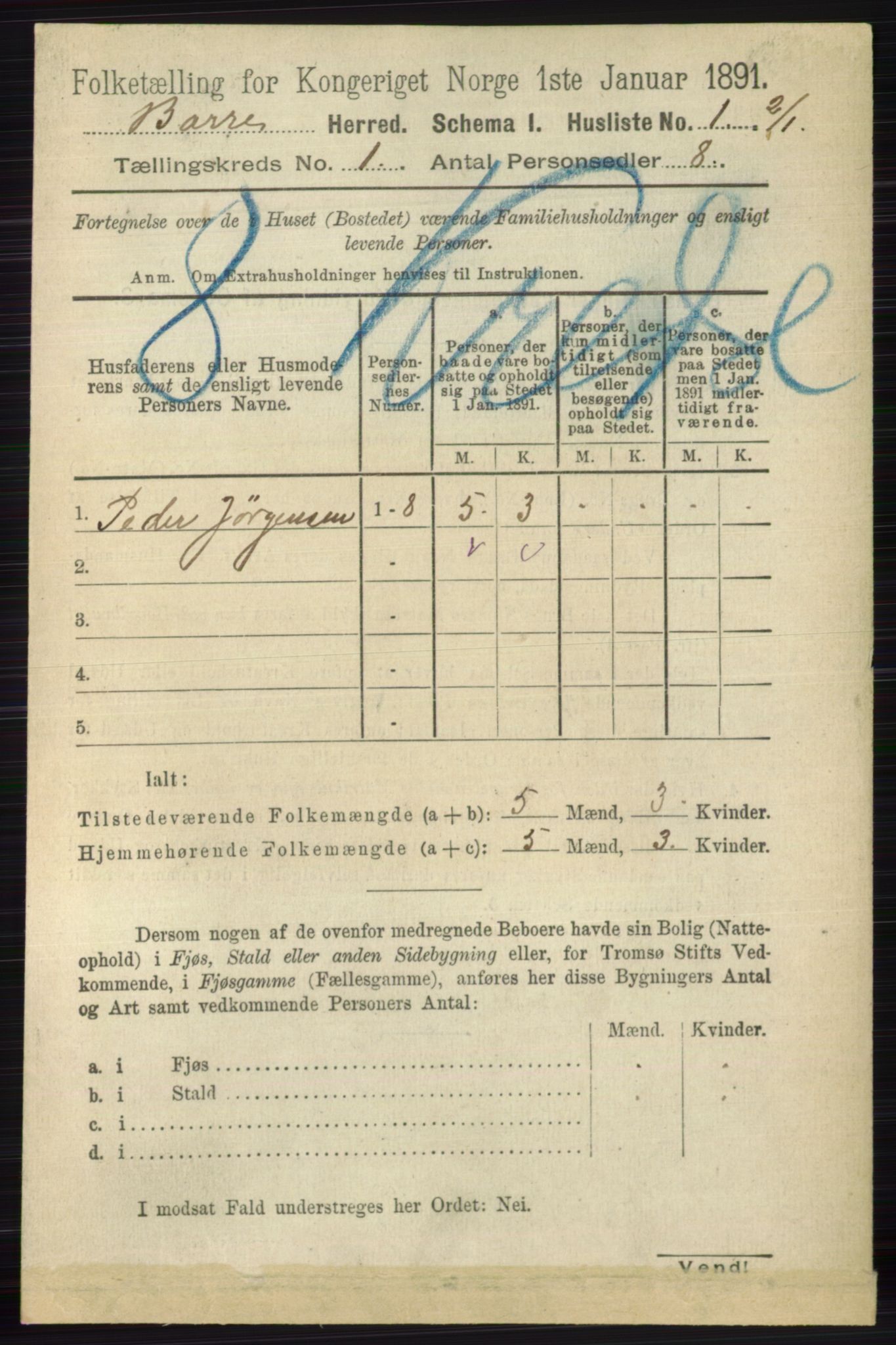 RA, 1891 census for 0717 Borre, 1891, p. 25