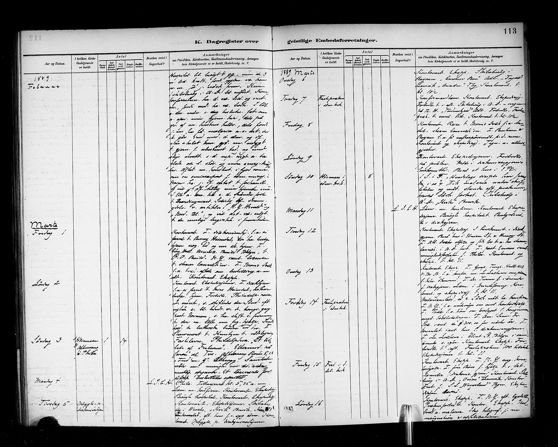 Den norske sjømannsmisjon i utlandet/New York, AV/SAB-SAB/PA-0110/H/Ha/L0003: Parish register (official) no. A 3, 1888-1893, p. 113