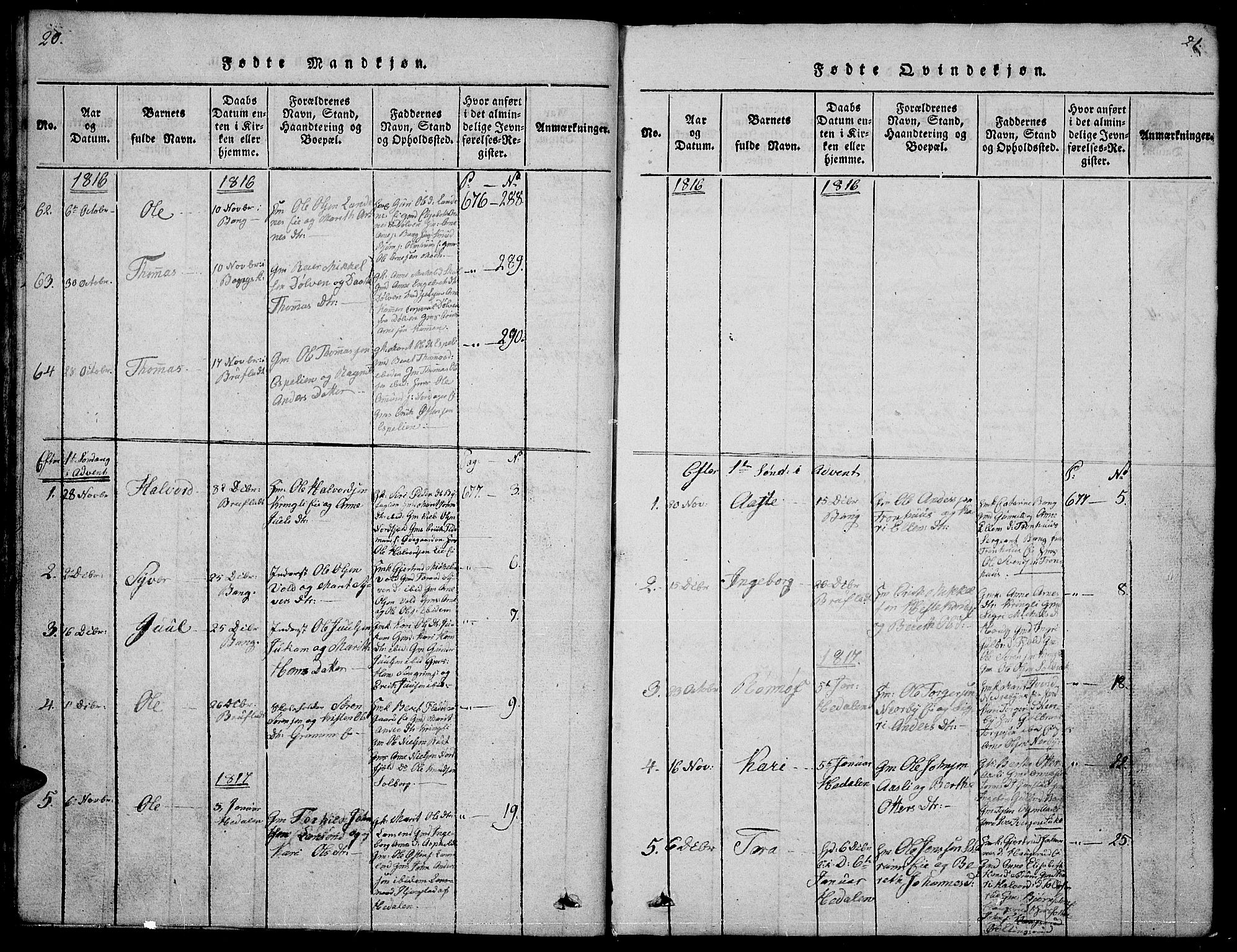 Sør-Aurdal prestekontor, AV/SAH-PREST-128/H/Ha/Hab/L0001: Parish register (copy) no. 1, 1815-1826, p. 20-21