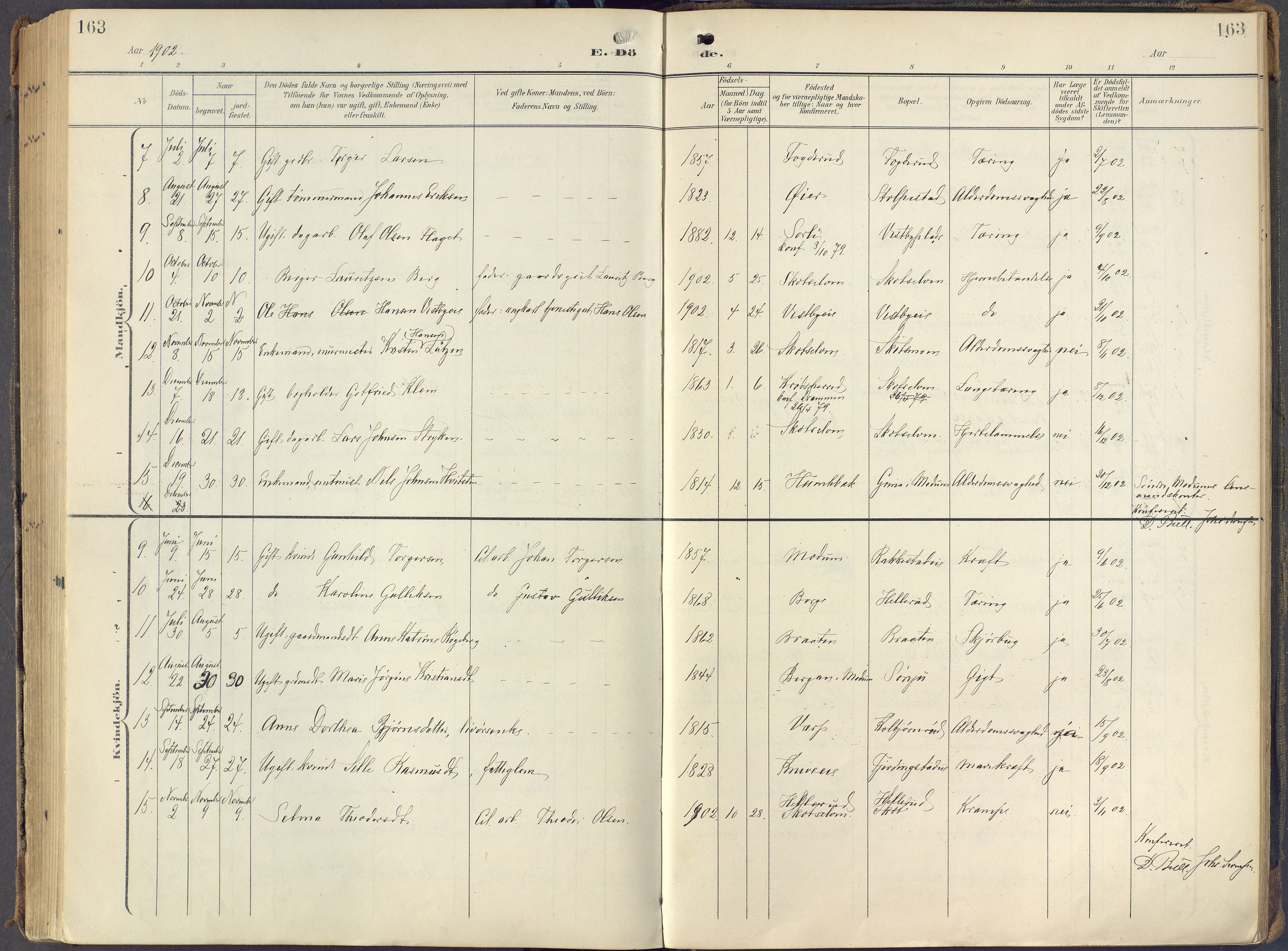 Eiker kirkebøker, AV/SAKO-A-4/F/Fc/L0004: Parish register (official) no. III 4, 1900-1919, p. 163