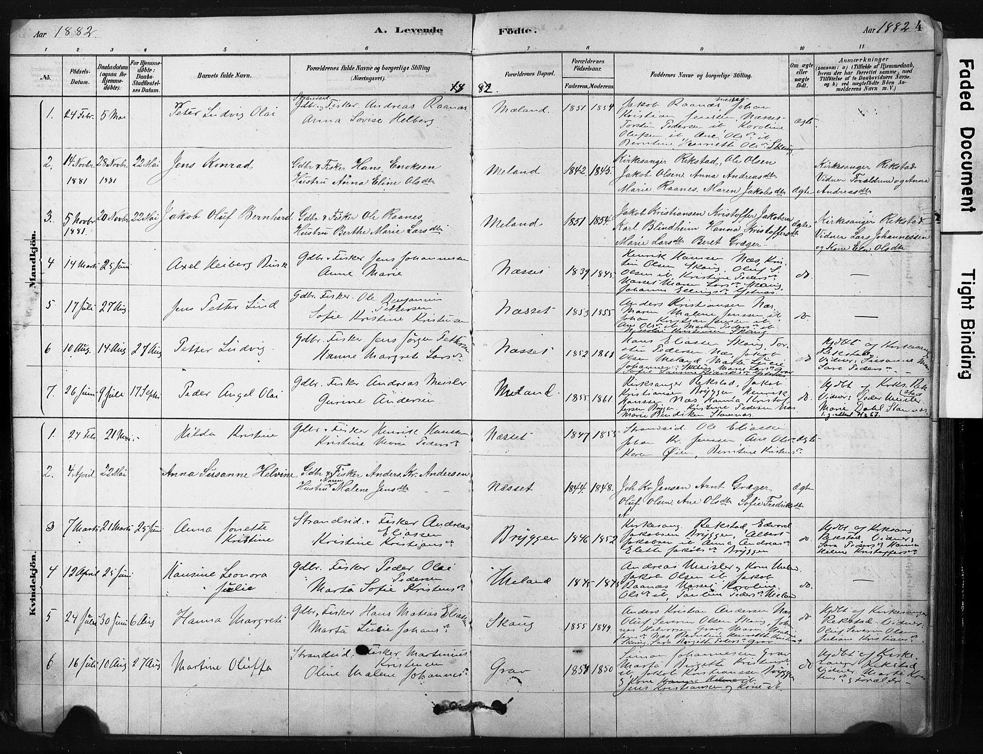 Ministerialprotokoller, klokkerbøker og fødselsregistre - Nordland, AV/SAT-A-1459/808/L0128: Parish register (official) no. 808A01, 1880-1902, p. 4