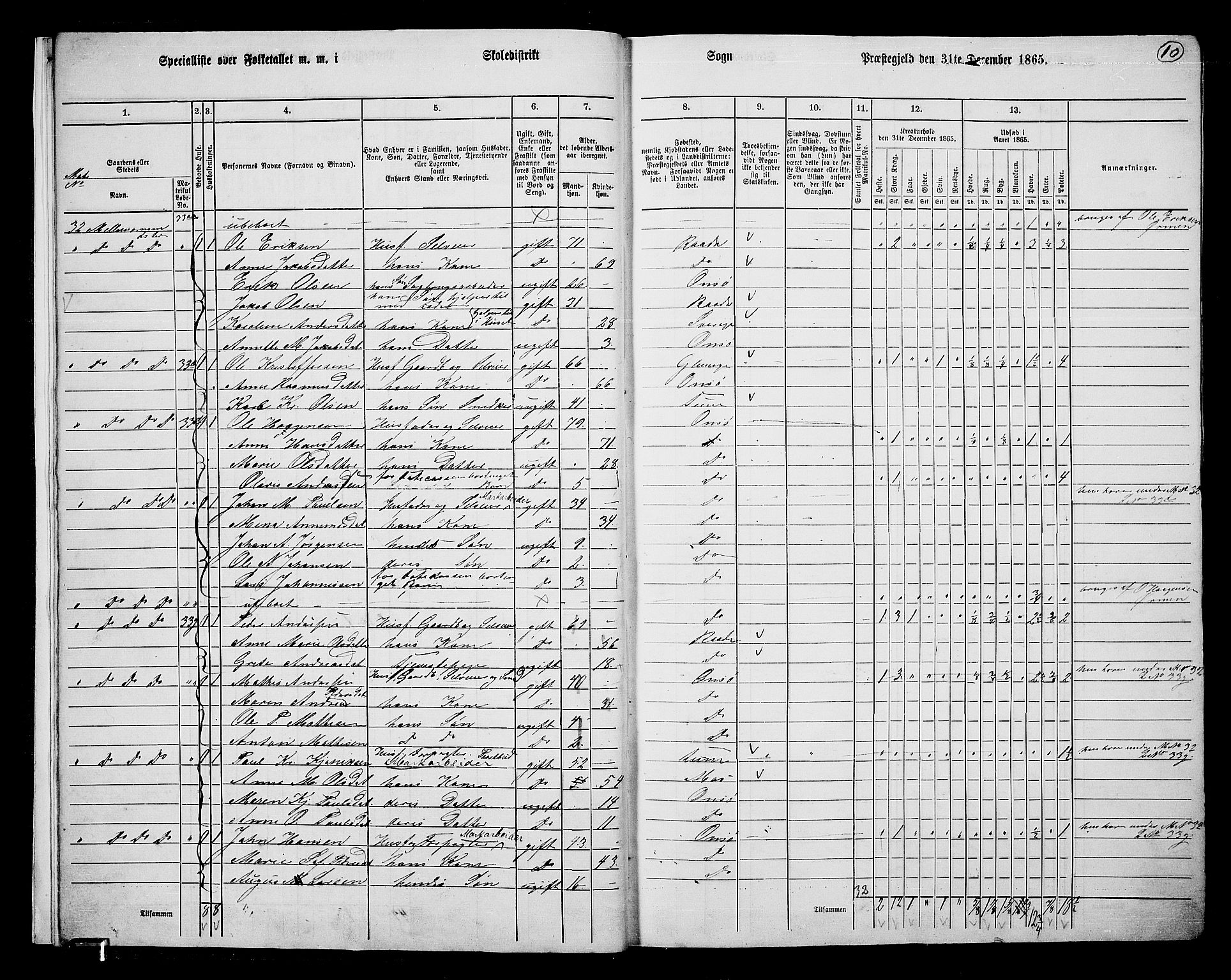 RA, 1865 census for Onsøy, 1865, p. 13