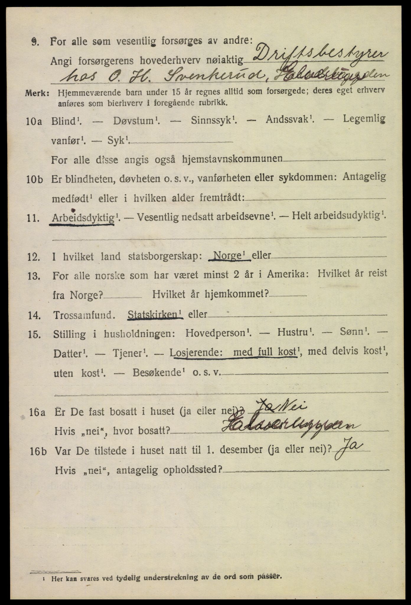 SAH, 1920 census for Stor-Elvdal, 1920, p. 4397