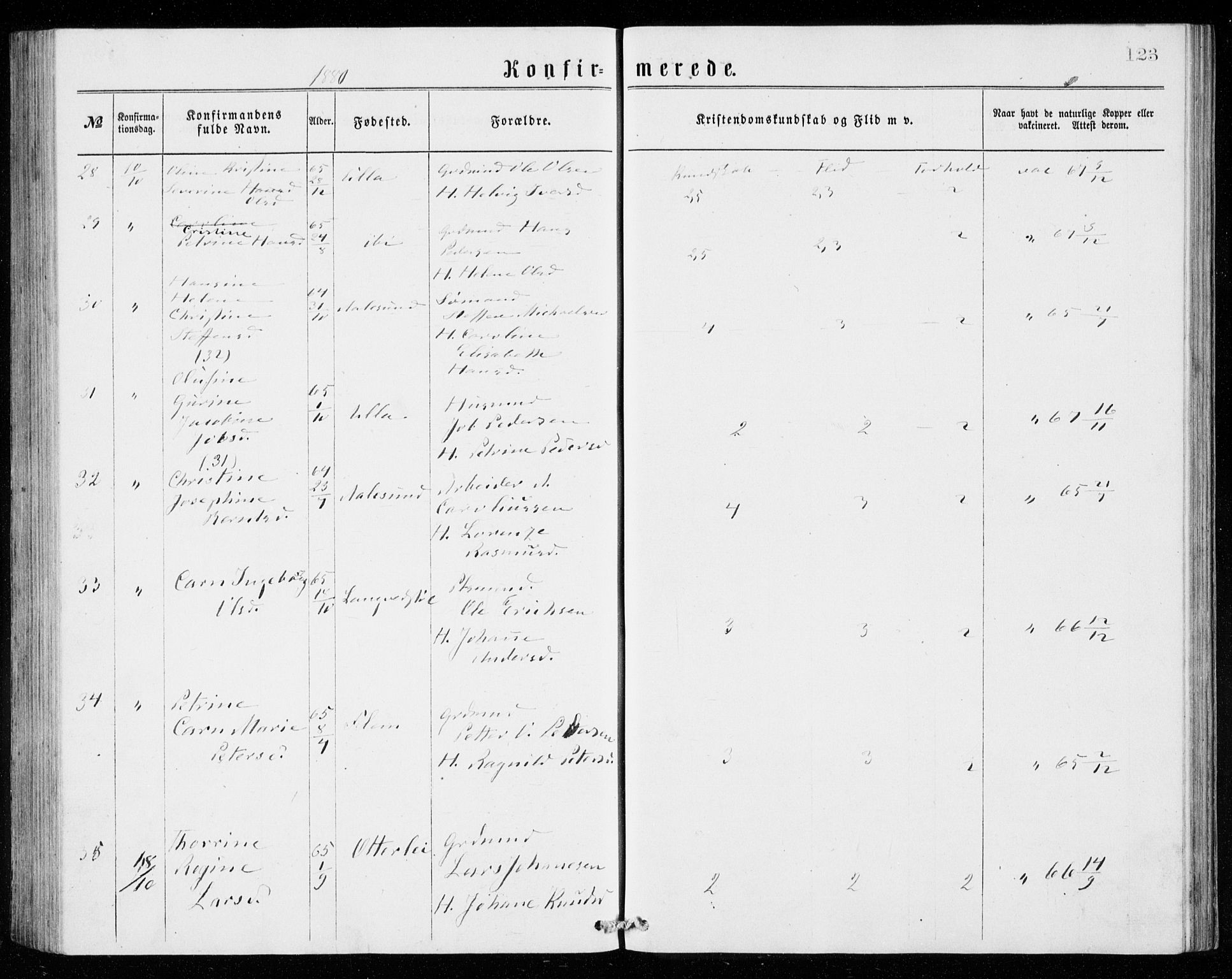 Ministerialprotokoller, klokkerbøker og fødselsregistre - Møre og Romsdal, AV/SAT-A-1454/536/L0509: Parish register (copy) no. 536C04, 1871-1881, p. 123