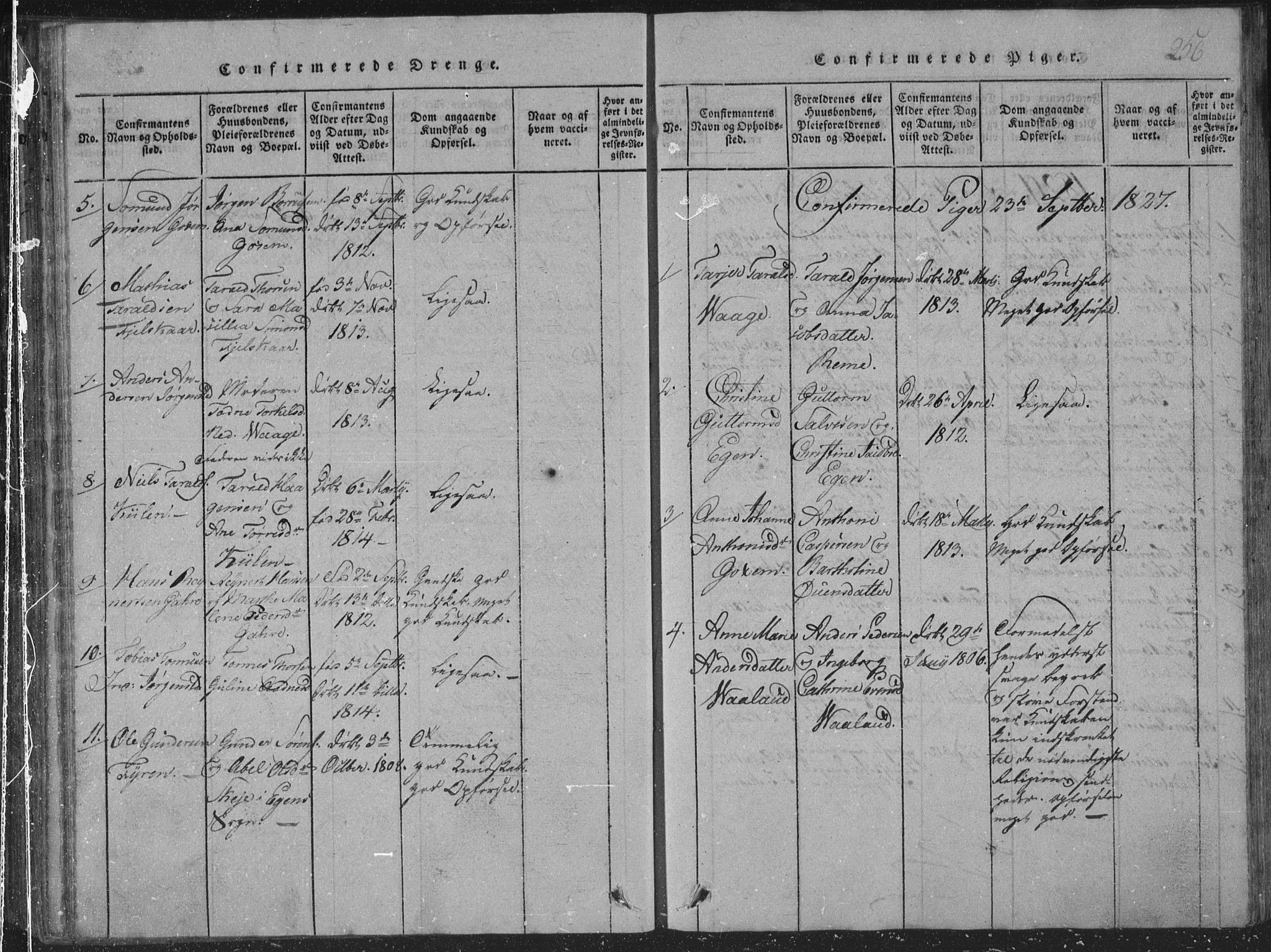 Sør-Audnedal sokneprestkontor, SAK/1111-0039/F/Fb/Fba/L0001: Parish register (copy) no. B 1, 1815-1850, p. 256