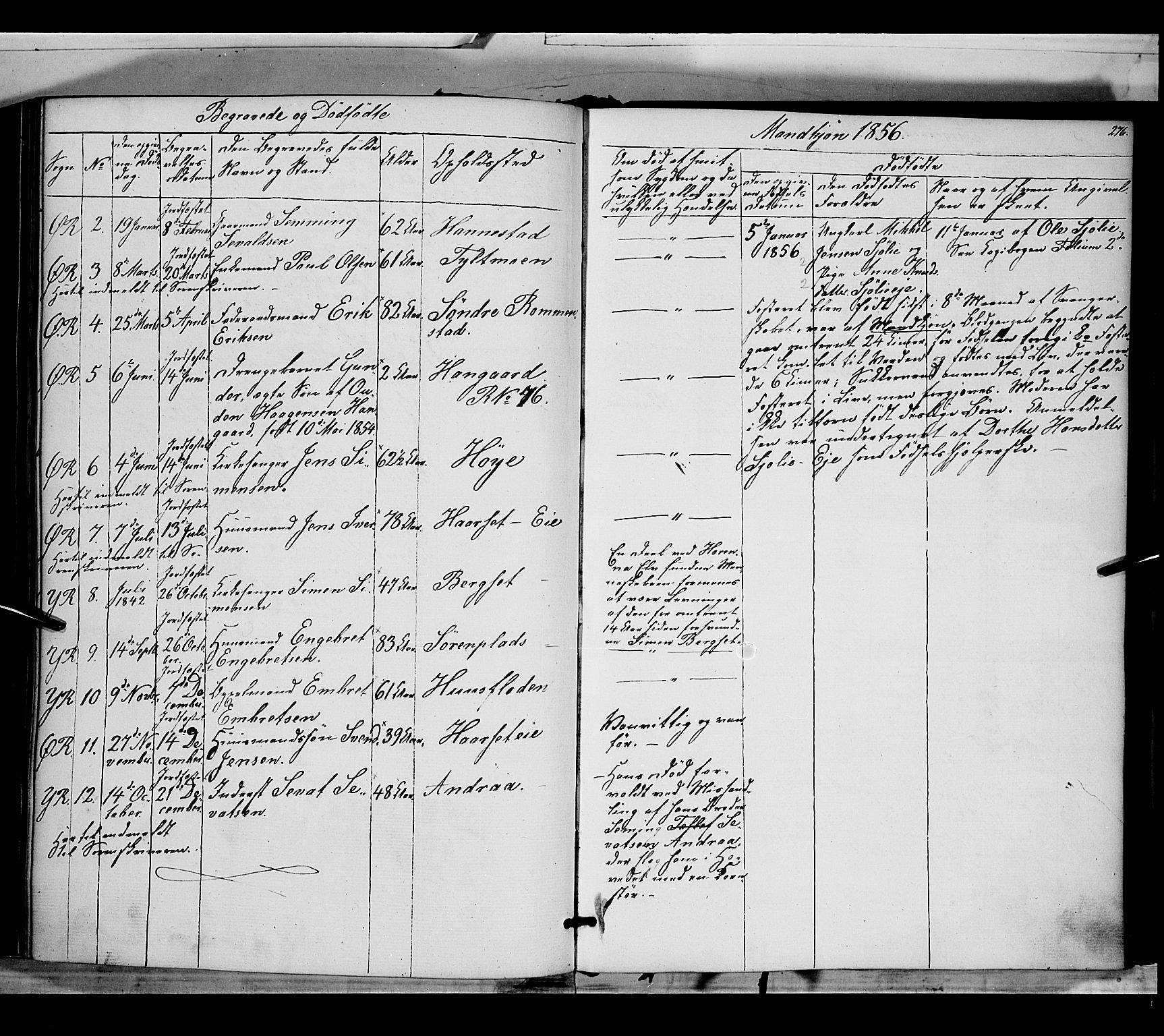 Rendalen prestekontor, SAH/PREST-054/H/Ha/Haa/L0005: Parish register (official) no. 5, 1853-1866, p. 276