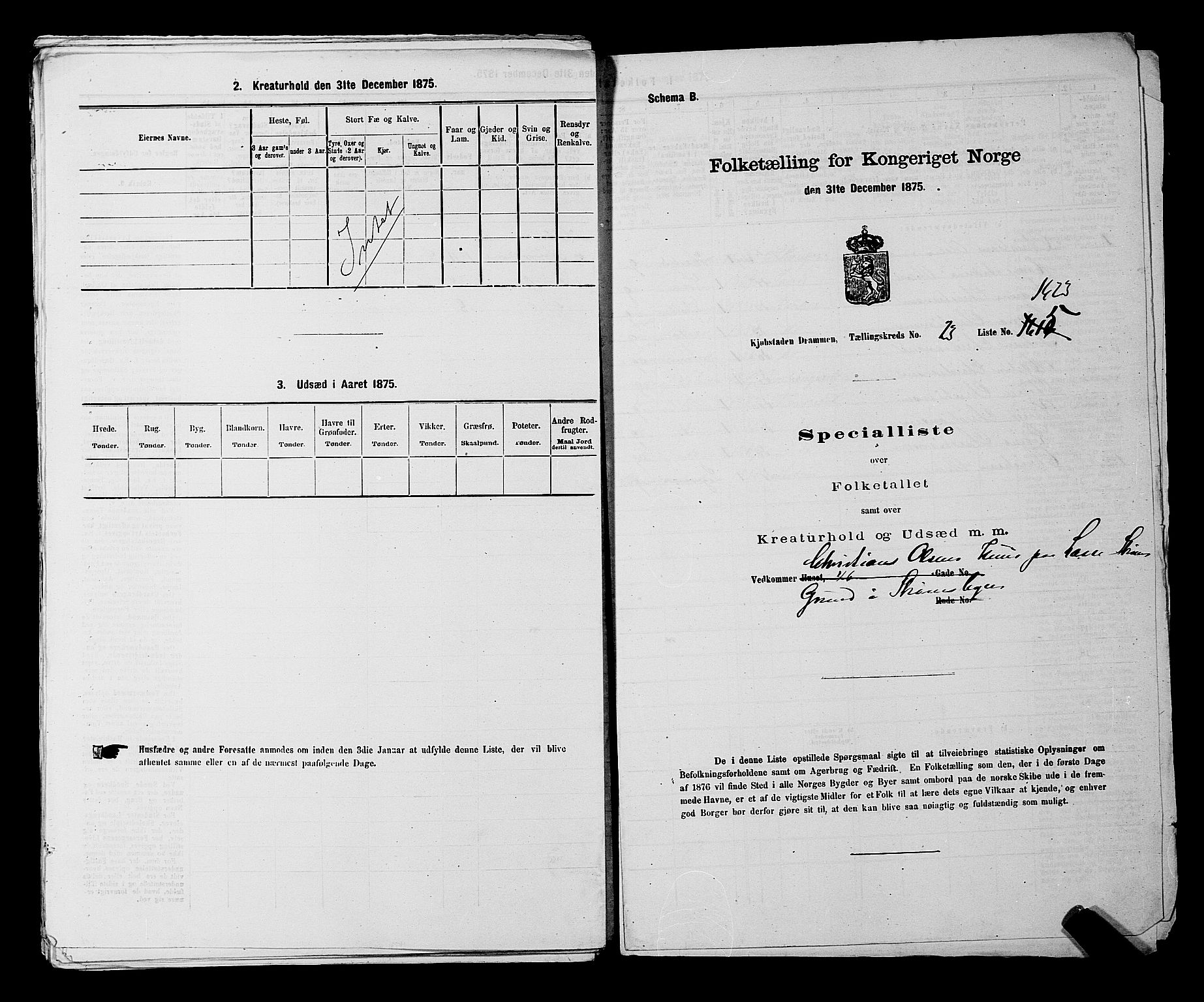 SAKO, 1875 census for 0602 Drammen, 1875, p. 2366