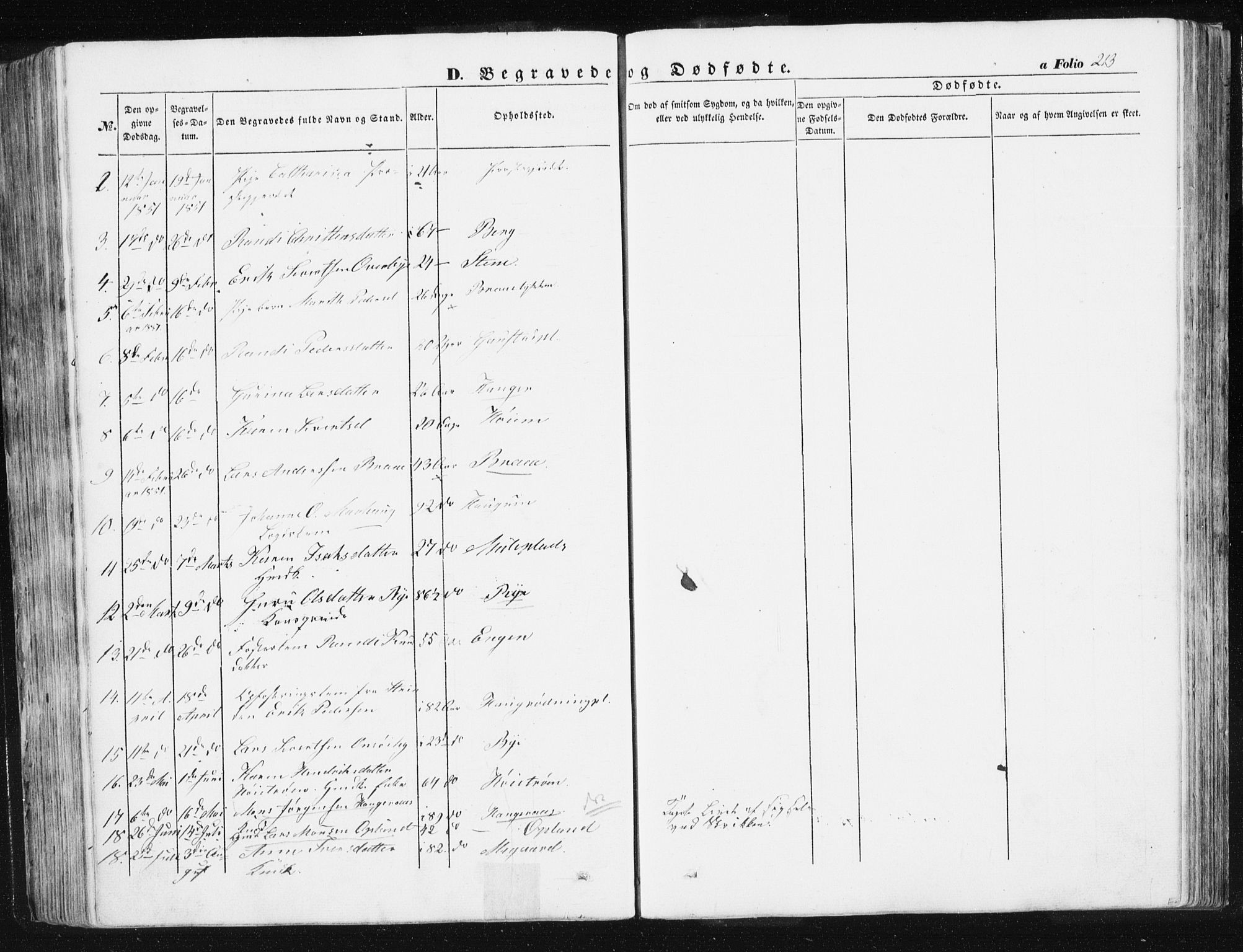 Ministerialprotokoller, klokkerbøker og fødselsregistre - Sør-Trøndelag, AV/SAT-A-1456/612/L0376: Parish register (official) no. 612A08, 1846-1859, p. 213