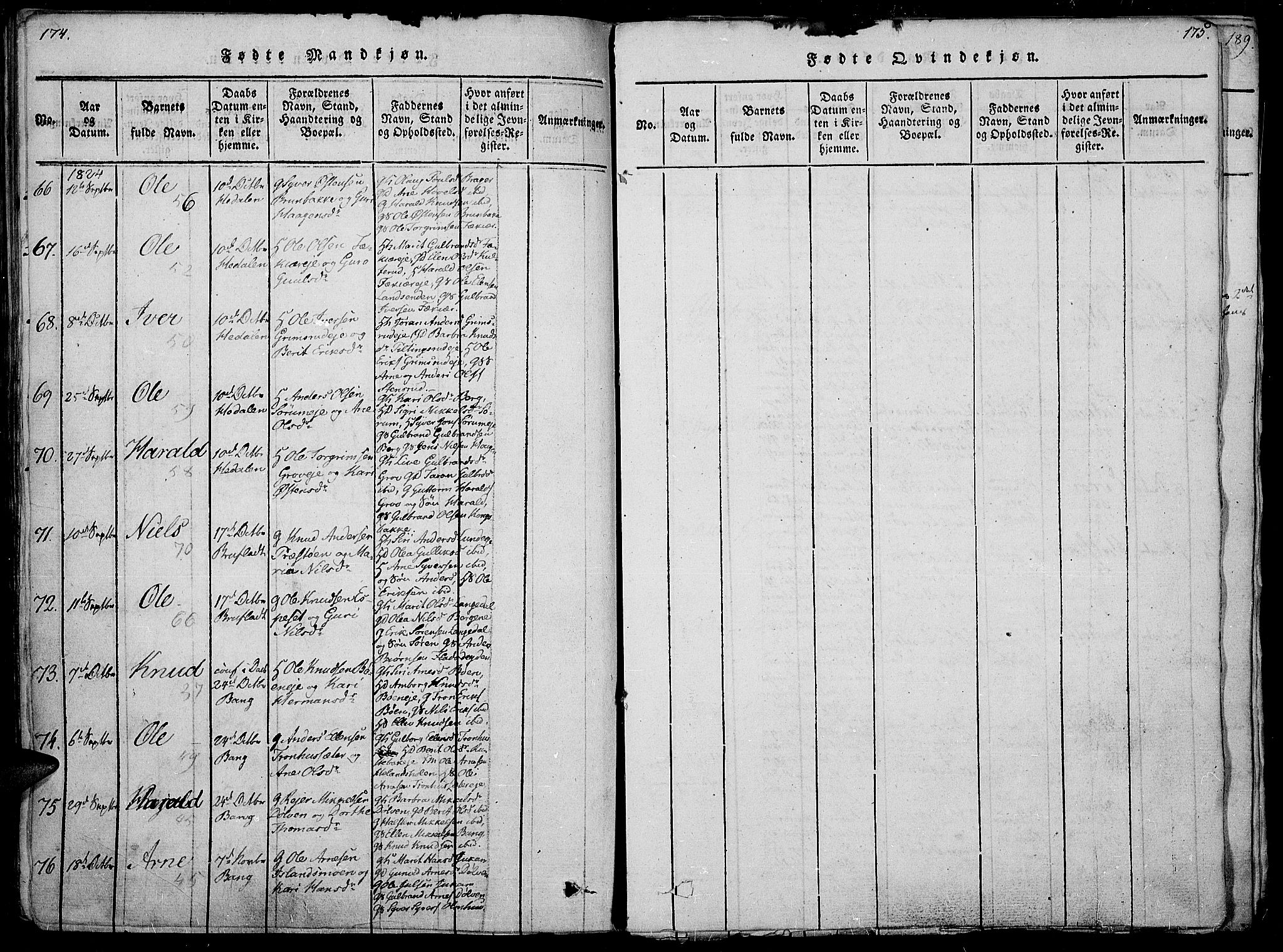 Sør-Aurdal prestekontor, SAH/PREST-128/H/Ha/Haa/L0002: Parish register (official) no. 2, 1815-1840, p. 174-175