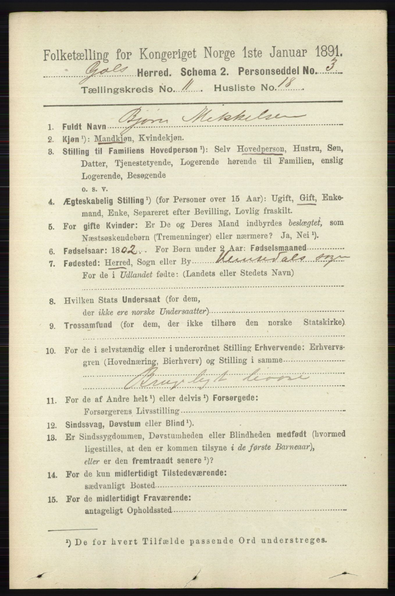 RA, 1891 census for 0617 Gol og Hemsedal, 1891, p. 4456