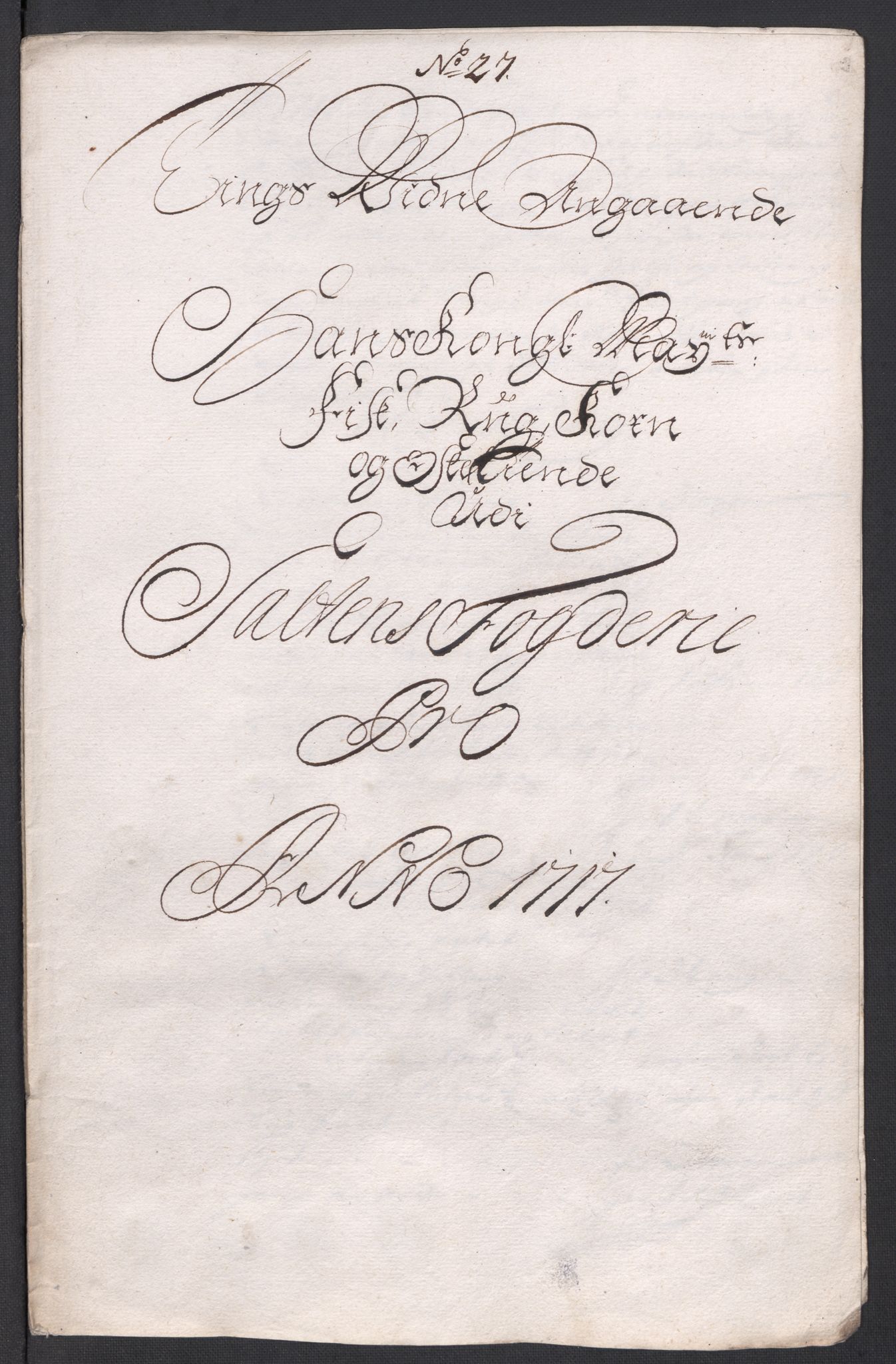 Rentekammeret inntil 1814, Reviderte regnskaper, Fogderegnskap, AV/RA-EA-4092/R66/L4587: Fogderegnskap Salten, 1717, p. 285