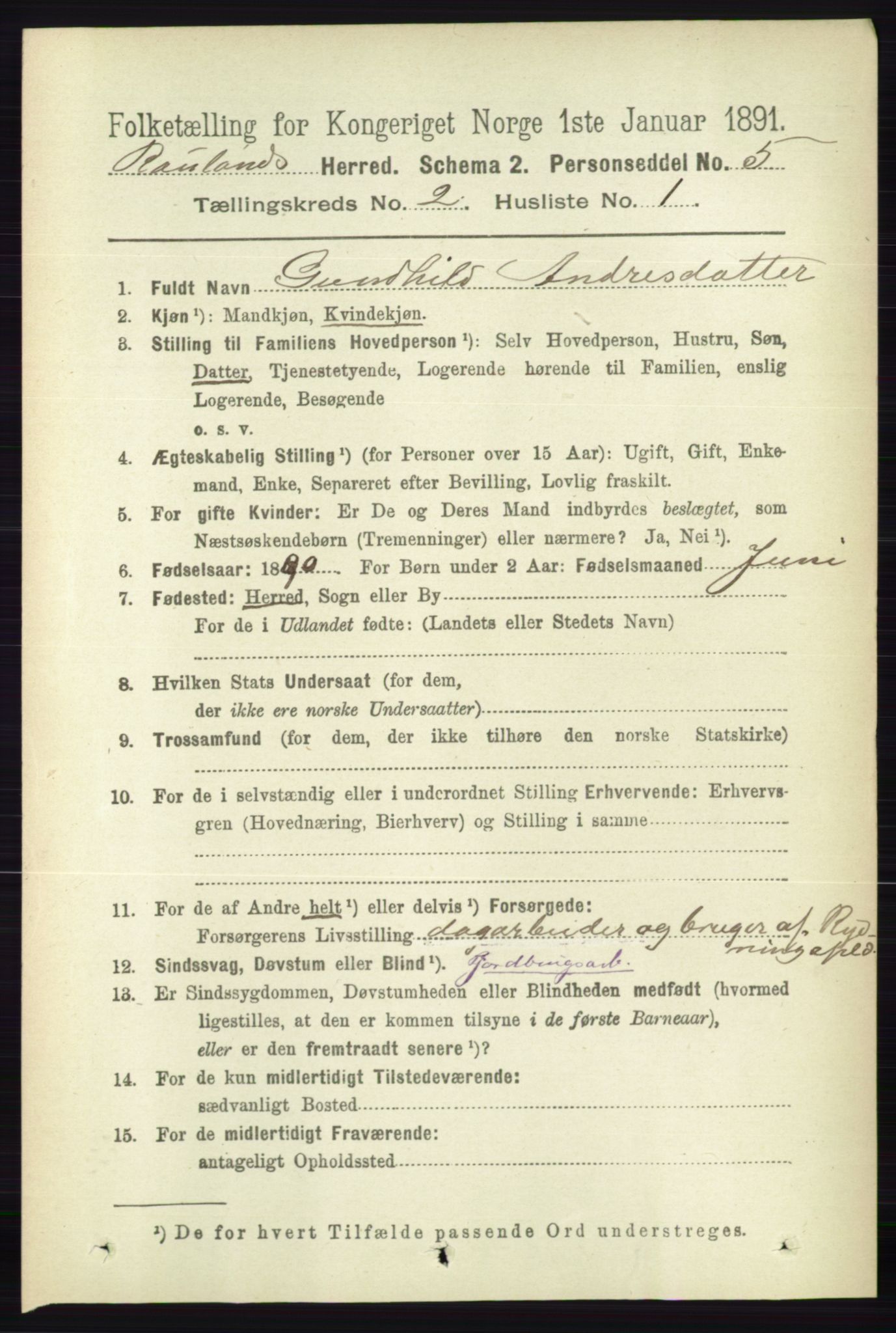 RA, 1891 census for 0835 Rauland, 1891, p. 260