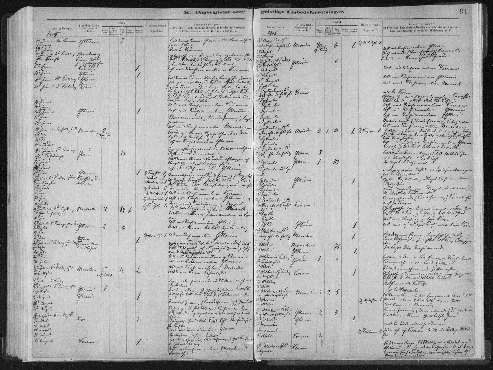 Ministerialprotokoller, klokkerbøker og fødselsregistre - Nord-Trøndelag, SAT/A-1458/722/L0220: Parish register (official) no. 722A07, 1881-1908, p. 291