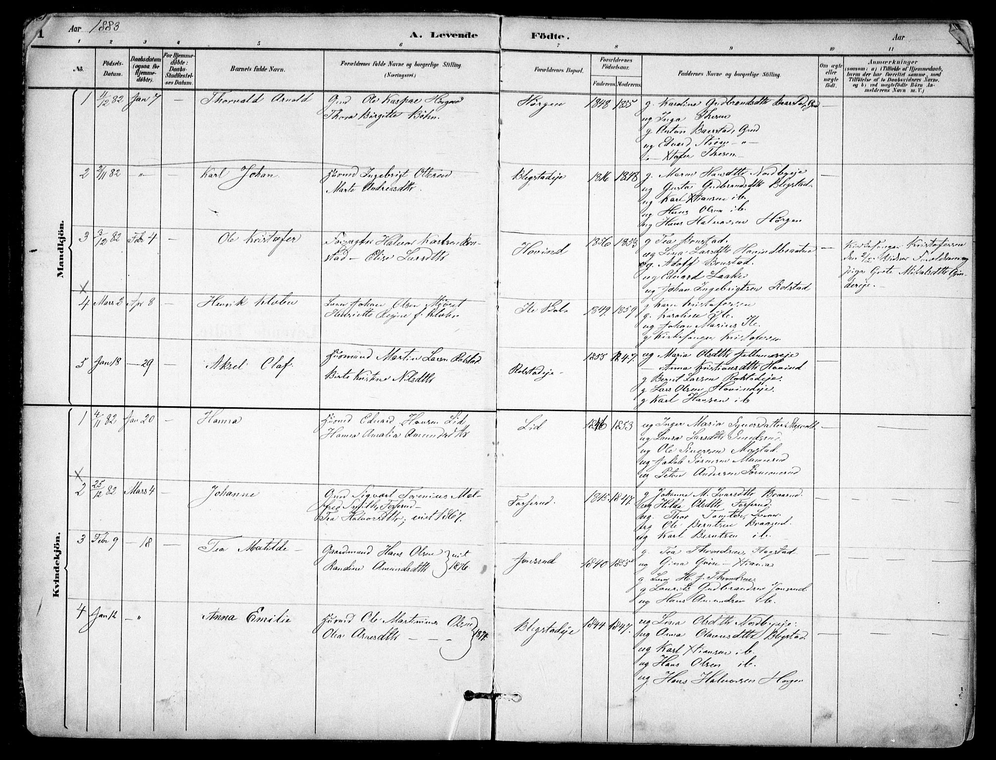 Nes prestekontor Kirkebøker, AV/SAO-A-10410/F/Fb/L0002: Parish register (official) no. II 2, 1883-1918, p. 1