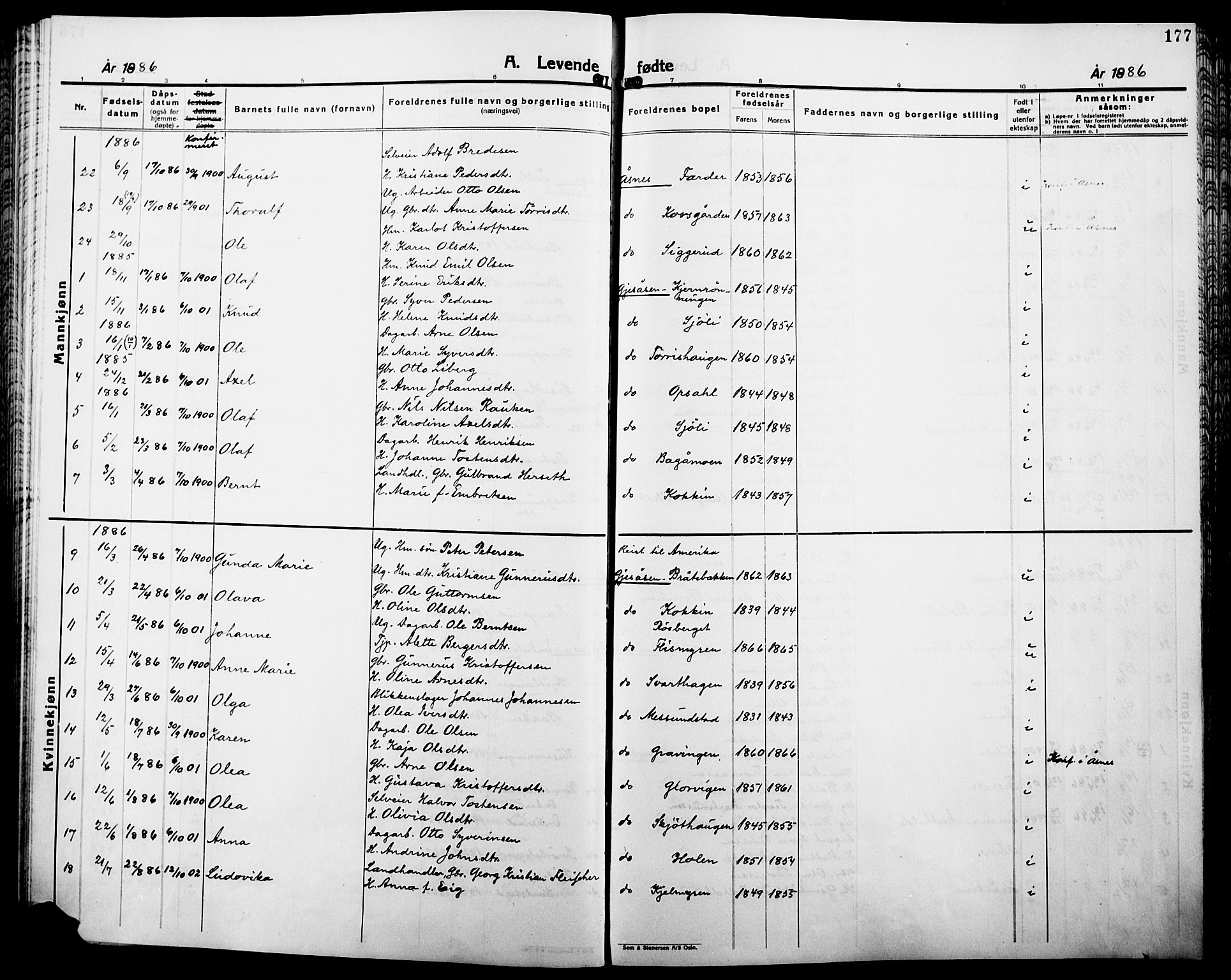Åsnes prestekontor, SAH/PREST-042/H/Ha/Haa/L0000B: Parish register (official), 1870-1889, p. 177