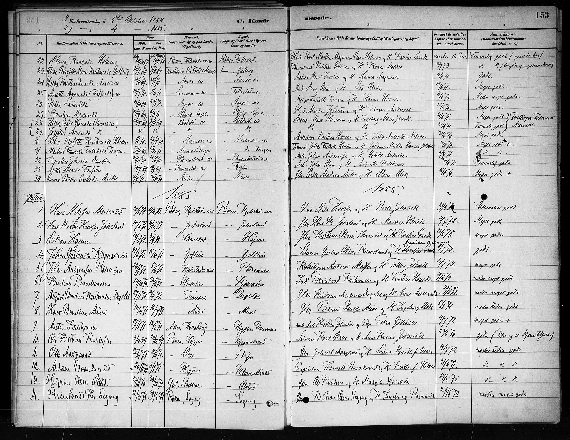 Røyken kirkebøker, SAKO/A-241/F/Fa/L0008: Parish register (official) no. 8, 1880-1897, p. 153