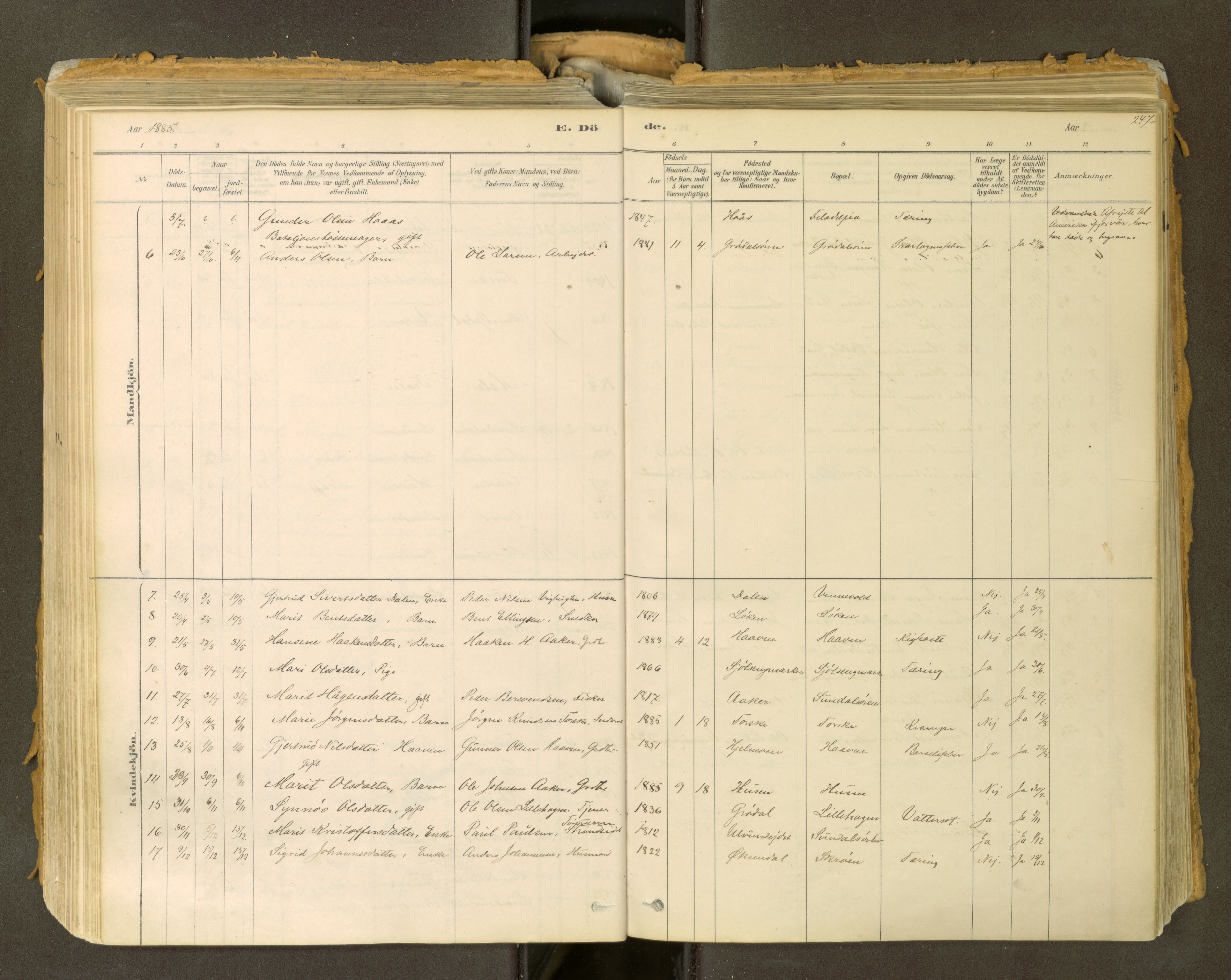 Sunndal sokneprestkontor, SAT/A-1085/1/I/I1/I1a: Parish register (official) no. 2, 1877-1914, p. 247