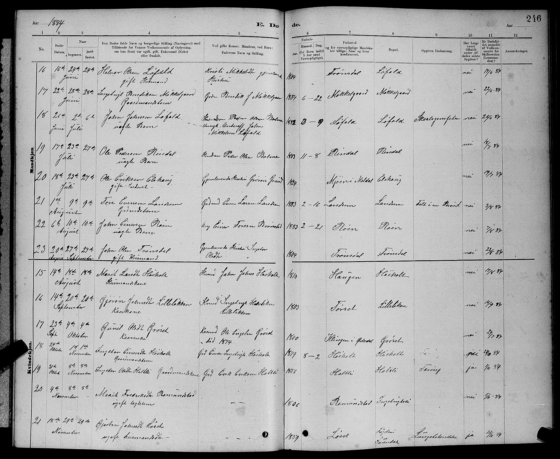 Ministerialprotokoller, klokkerbøker og fødselsregistre - Møre og Romsdal, AV/SAT-A-1454/598/L1077: Parish register (copy) no. 598C02, 1879-1891, p. 246