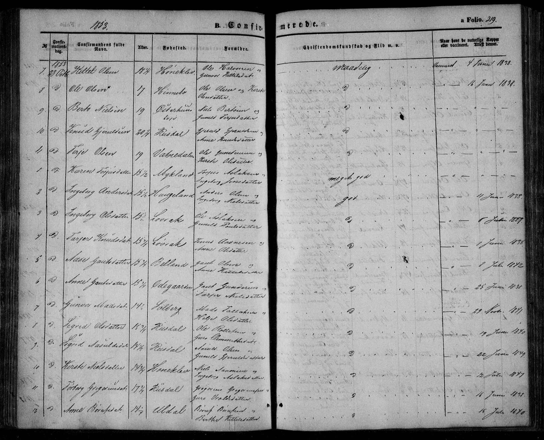 Åmli sokneprestkontor, SAK/1111-0050/F/Fa/Fac/L0008: Parish register (official) no. A 8, 1852-1869, p. 219