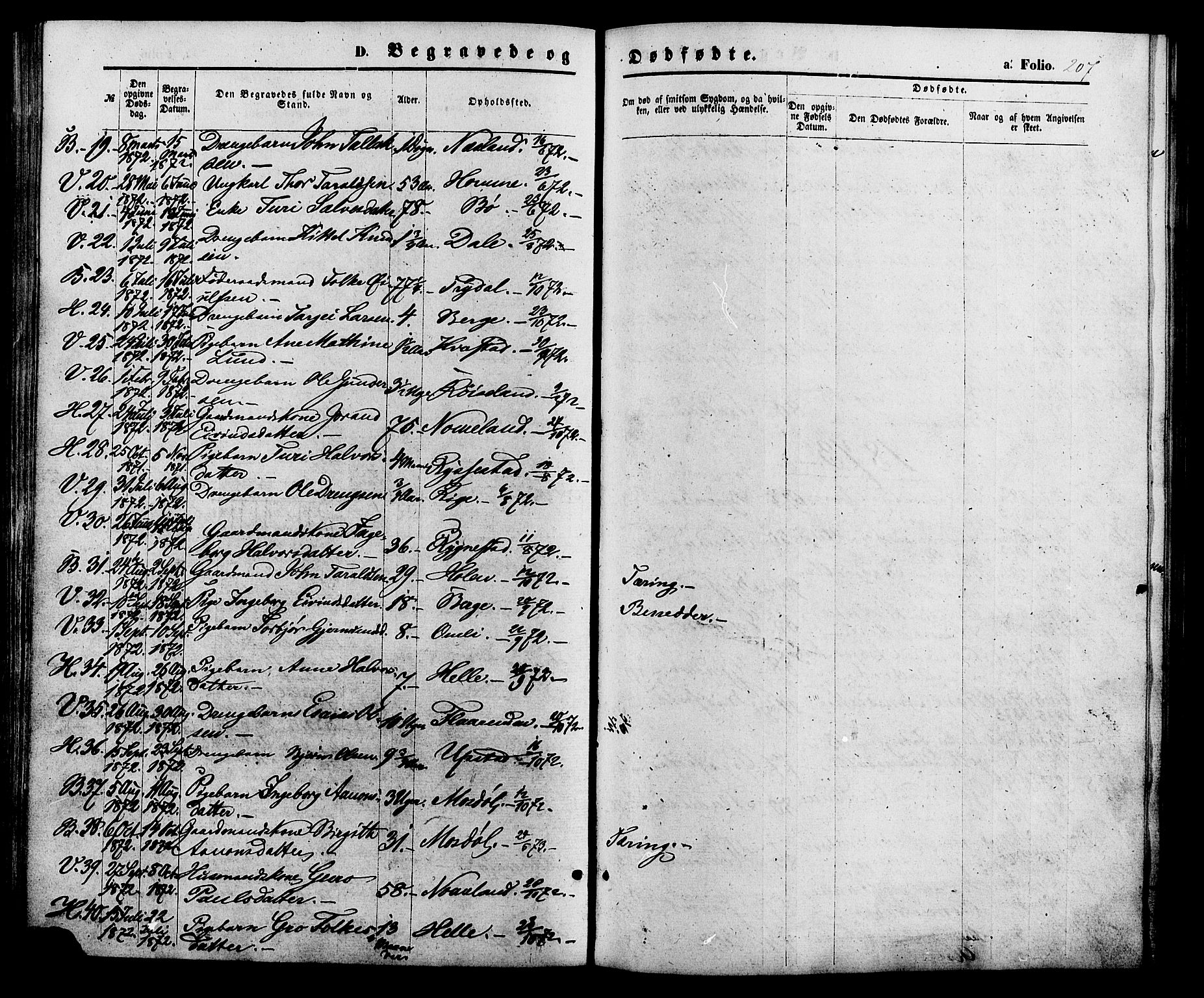 Valle sokneprestkontor, AV/SAK-1111-0044/F/Fa/Fac/L0008: Parish register (official) no. A 8, 1868-1882, p. 207