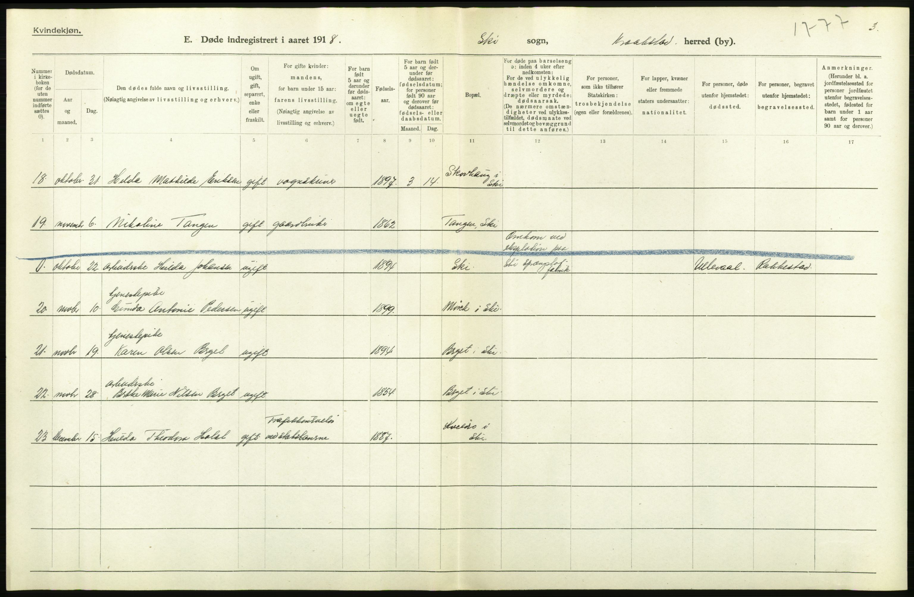 Statistisk sentralbyrå, Sosiodemografiske emner, Befolkning, AV/RA-S-2228/D/Df/Dfb/Dfbh/L0006: Akershus fylke: Døde. Bygder og byer., 1918, p. 360