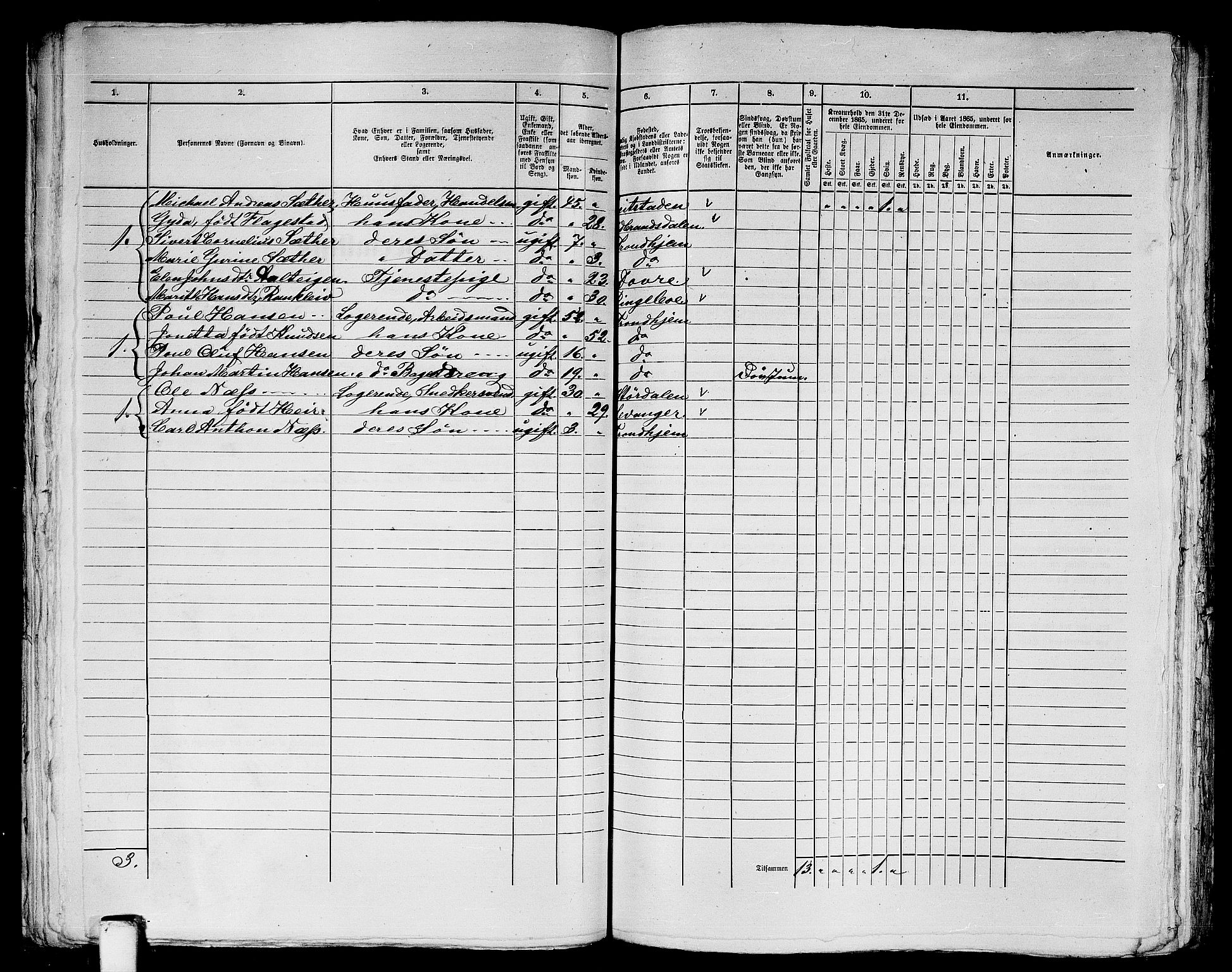 RA, 1865 census for Trondheim, 1865, p. 1263