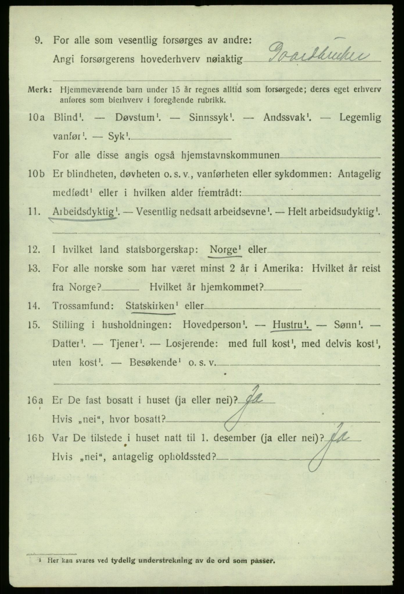 SAB, 1920 census for Lærdal, 1920, p. 4355