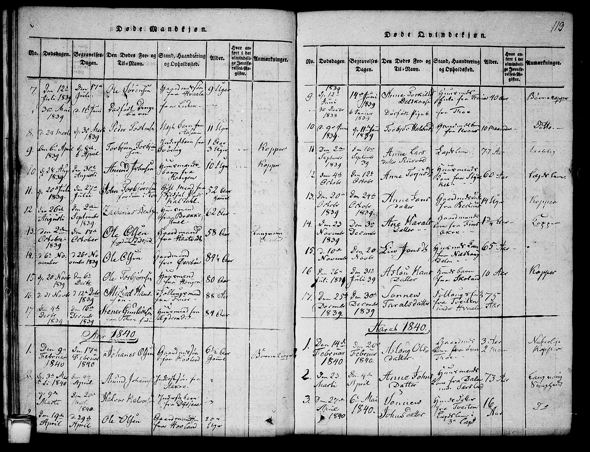 Hjartdal kirkebøker, SAKO/A-270/G/Ga/L0001: Parish register (copy) no. I 1, 1815-1842, p. 113