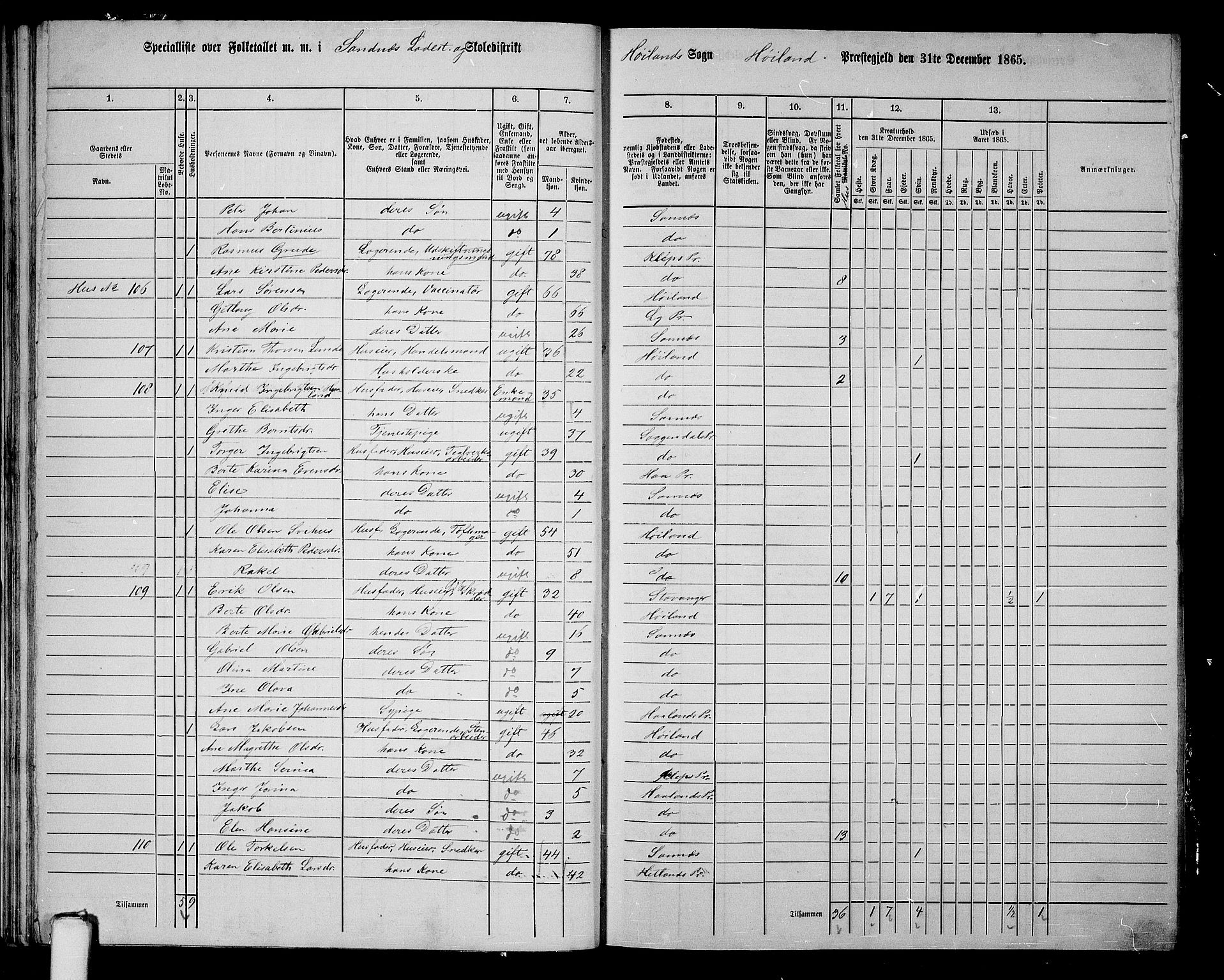 RA, 1865 census for Høyland, 1865, p. 177