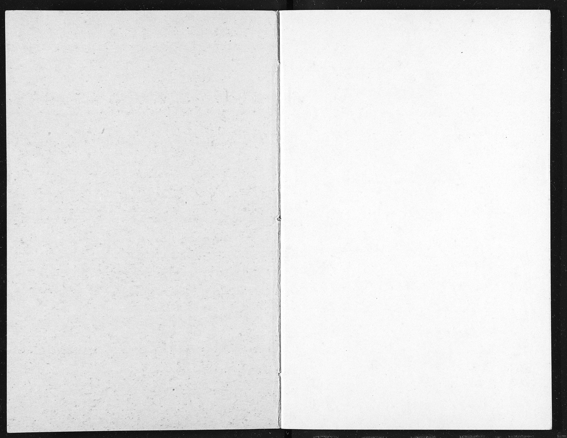 Familien Aalls privatarkiv , NESJ/NJM-005/E-00003/L0001/0003/0020: Dag- og notatbøker / Dølner dagbokpakke 001, 1891