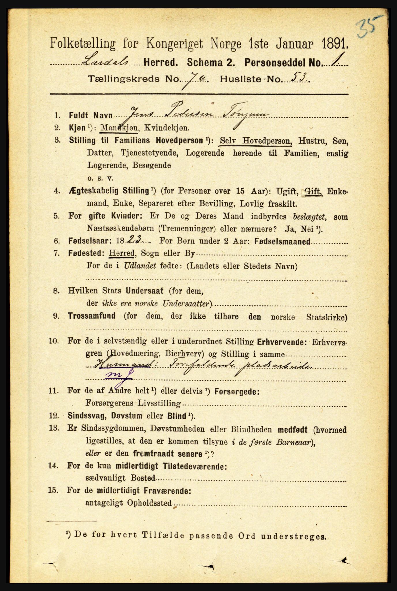 RA, 1891 census for 1422 Lærdal, 1891, p. 1101