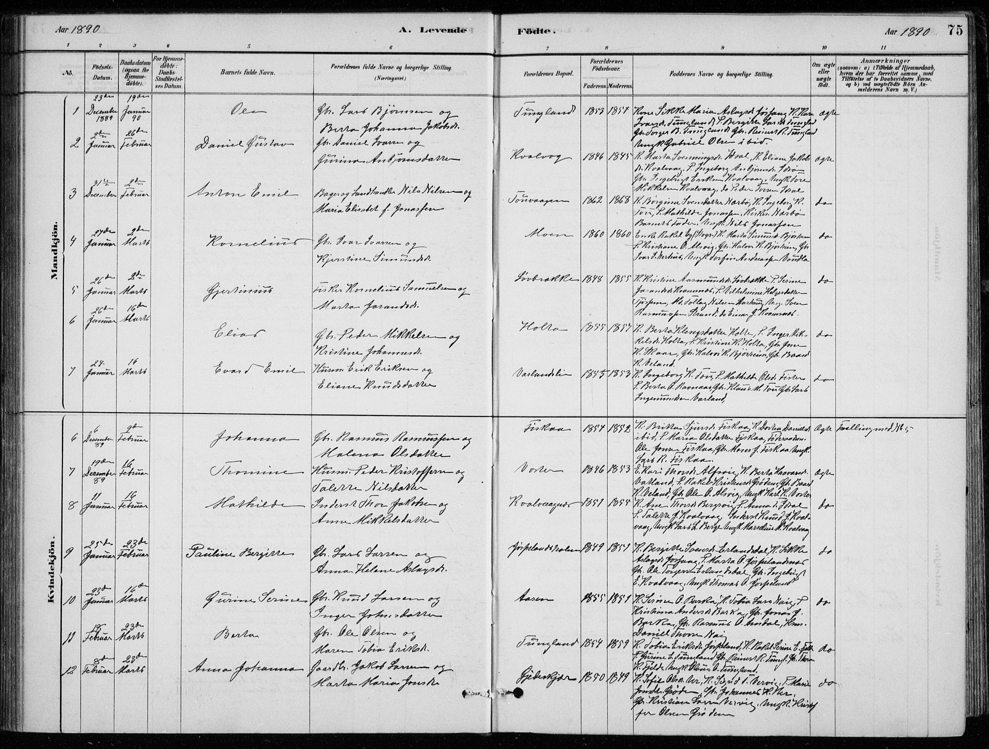 Strand sokneprestkontor, AV/SAST-A-101828/H/Ha/Hab/L0004: Parish register (copy) no. B 4, 1878-1903, p. 75