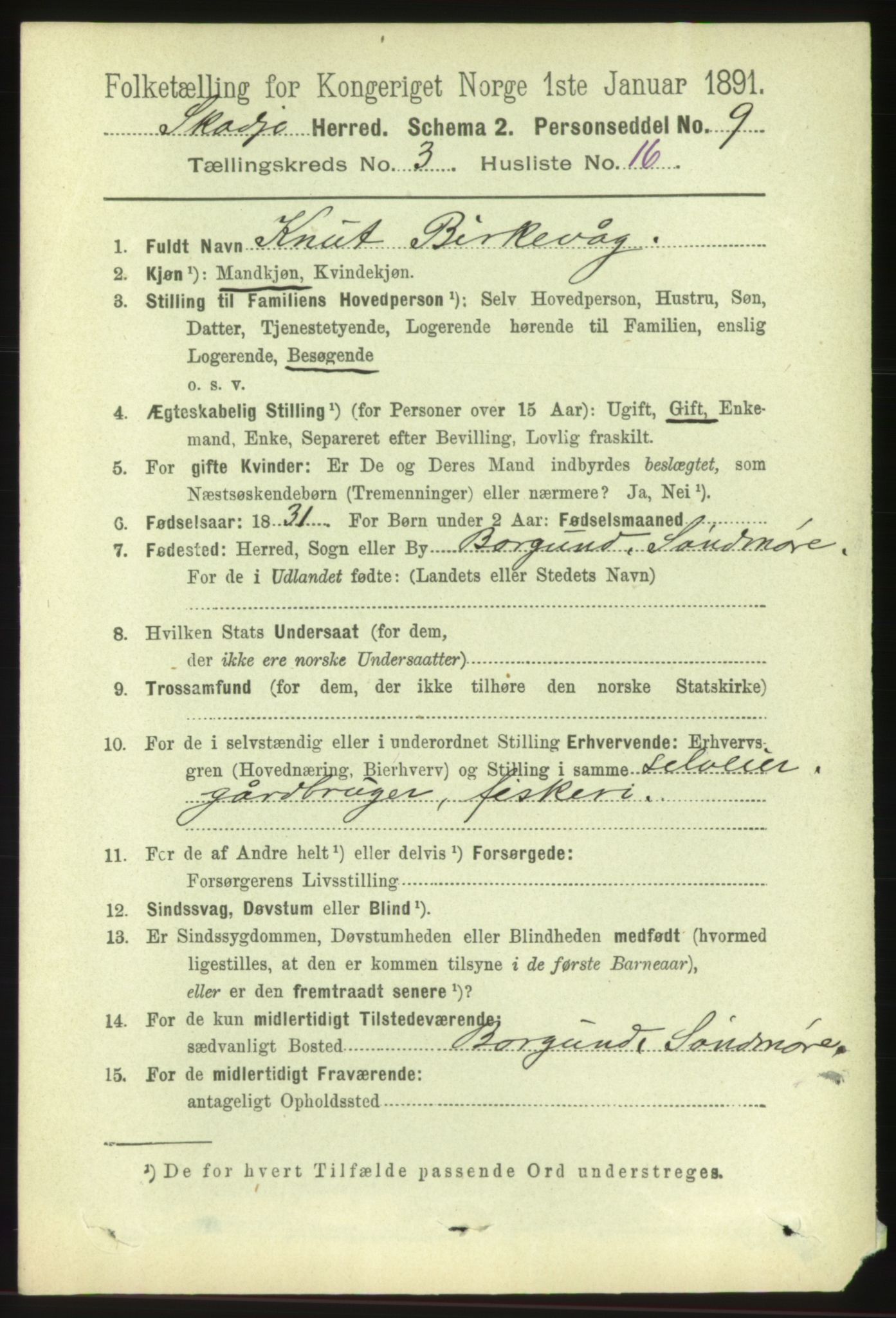 RA, 1891 census for 1529 Skodje, 1891, p. 556