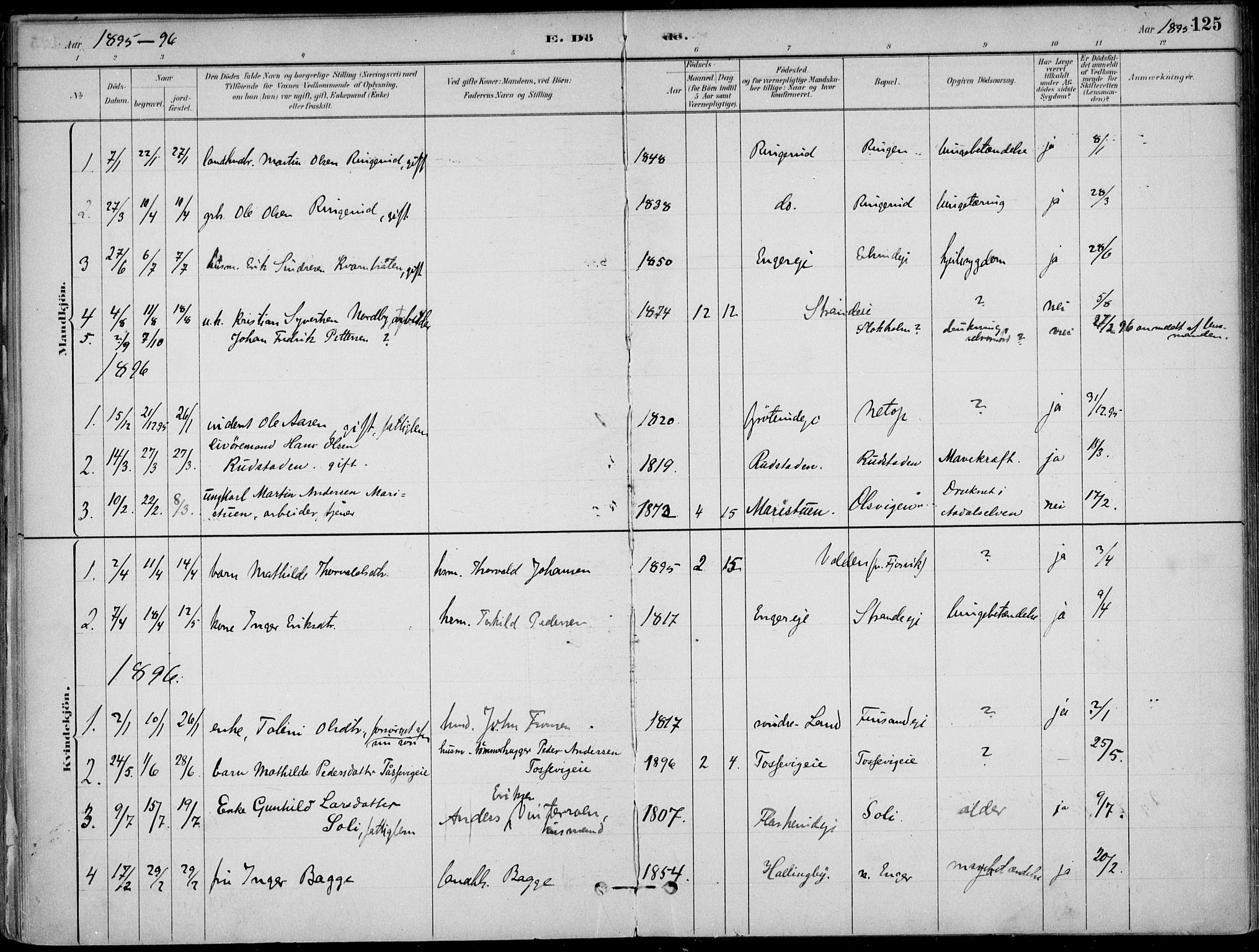 Ådal kirkebøker, AV/SAKO-A-248/F/Fa/L0003: Parish register (official) no. I 3, 1884-1903, p. 125