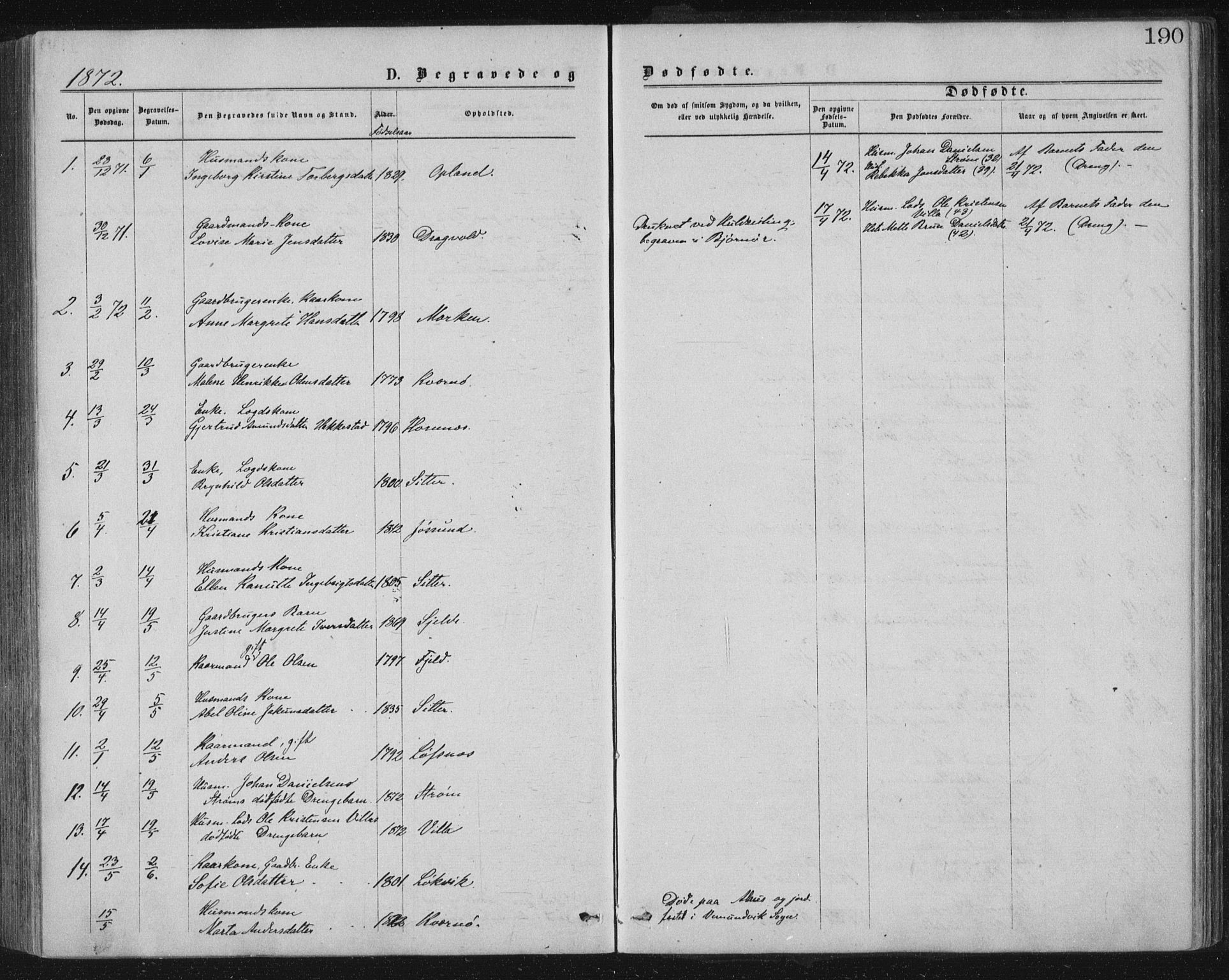 Ministerialprotokoller, klokkerbøker og fødselsregistre - Nord-Trøndelag, SAT/A-1458/771/L0596: Parish register (official) no. 771A03, 1870-1884, p. 190