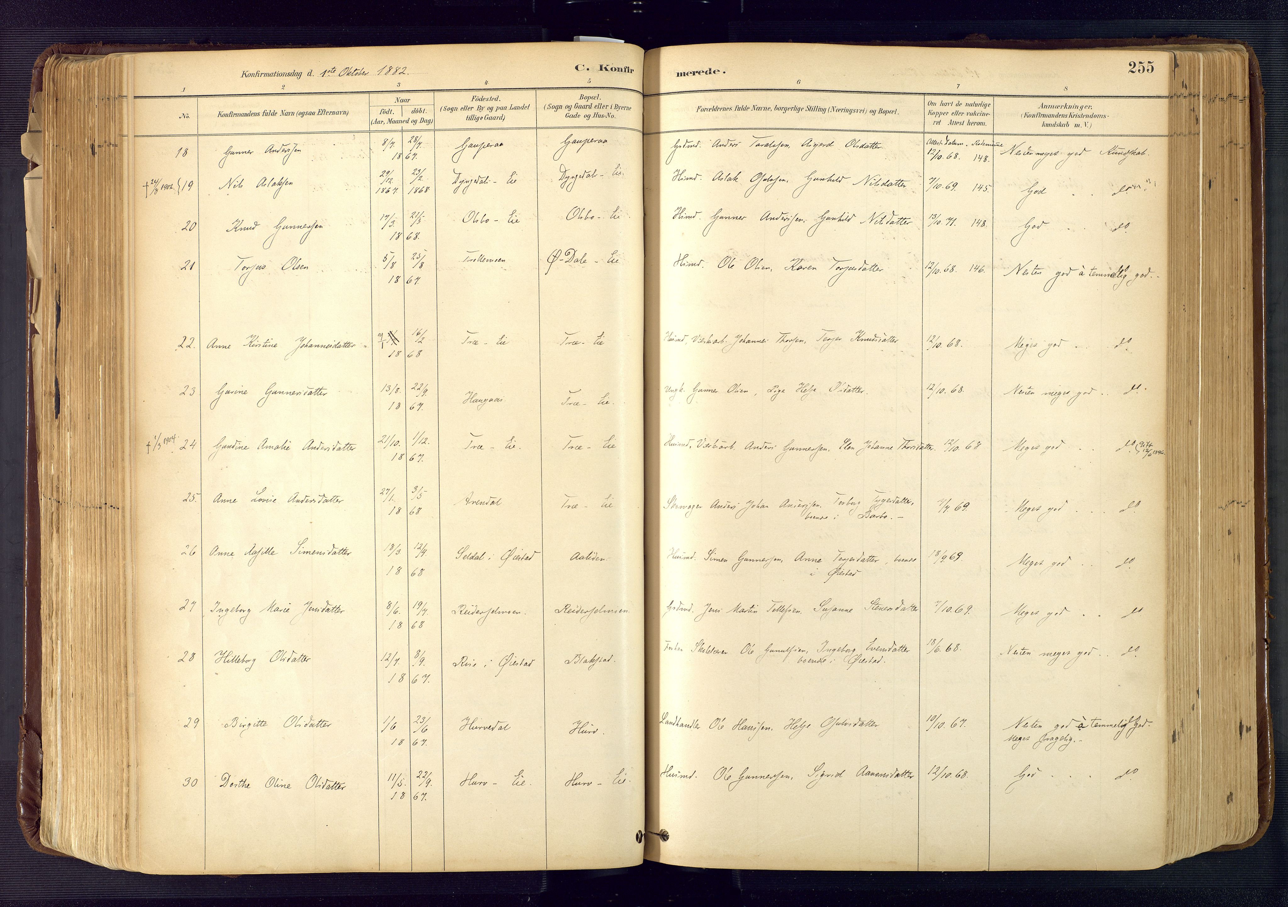 Froland sokneprestkontor, AV/SAK-1111-0013/F/Fa/L0005: Parish register (official) no. A 5, 1882-1921, p. 255