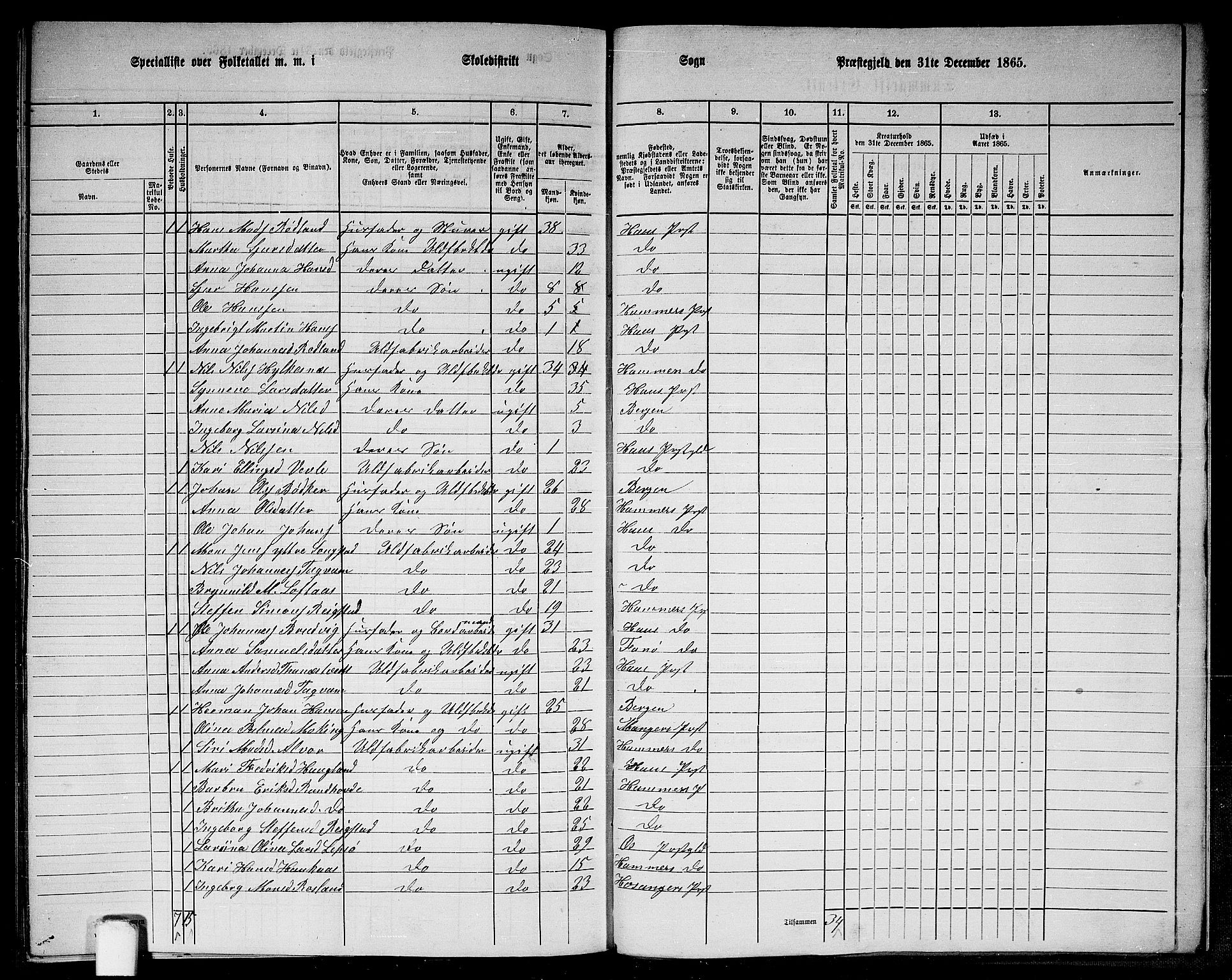 RA, 1865 census for Haus, 1865, p. 262