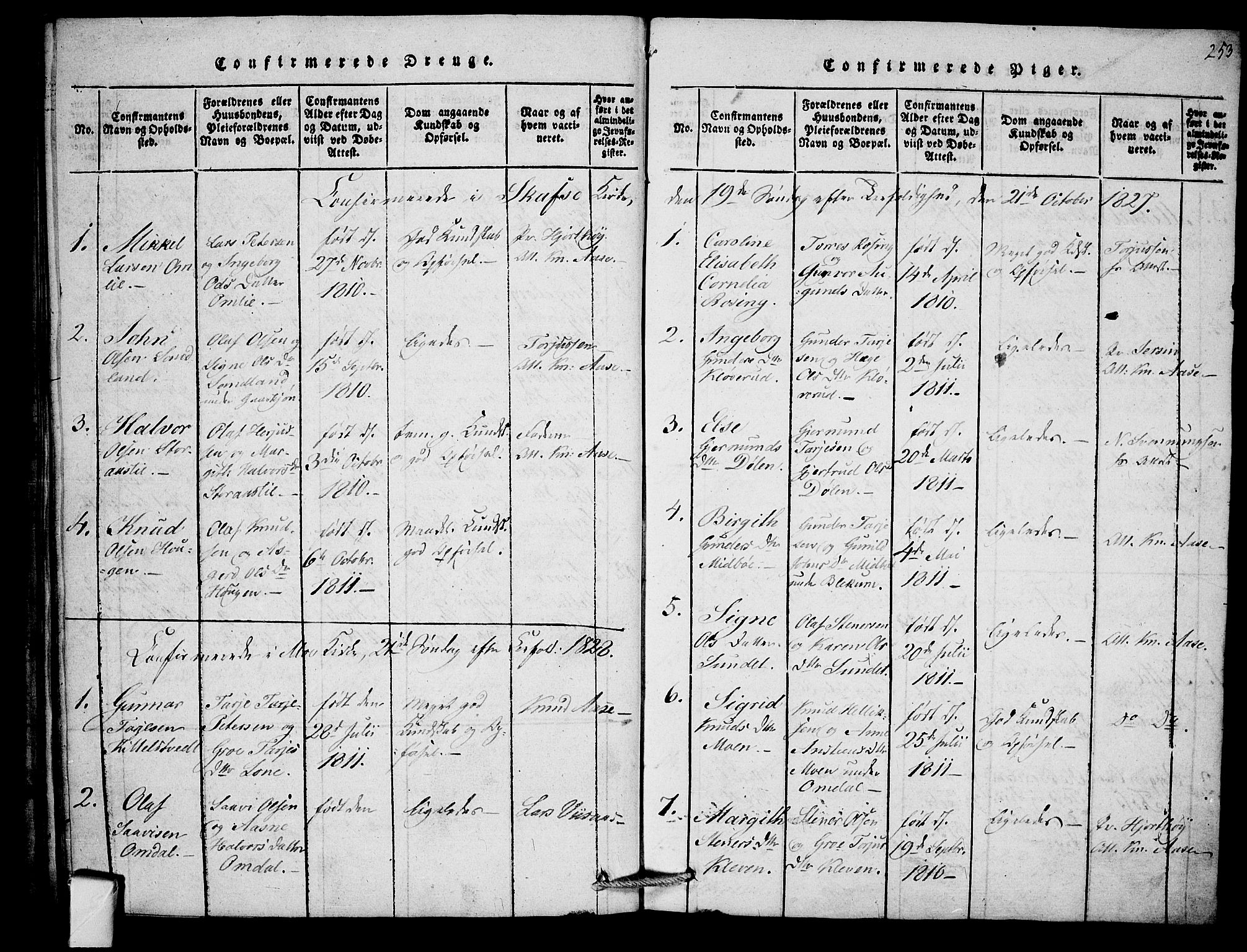 Mo kirkebøker, SAKO/A-286/F/Fb/L0001: Parish register (official) no. II 1, 1814-1844, p. 253