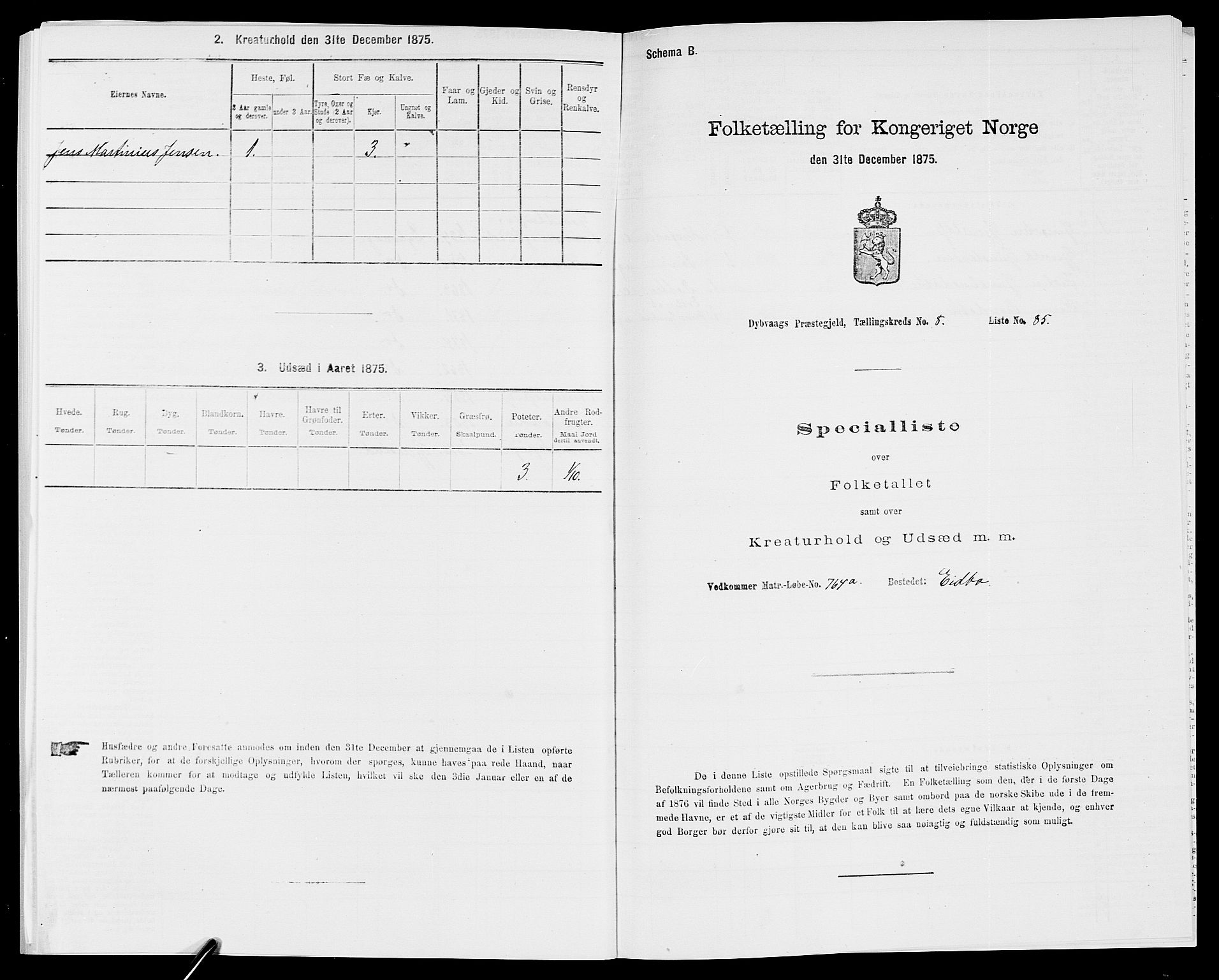 SAK, 1875 census for 0915P Dypvåg, 1875, p. 1095