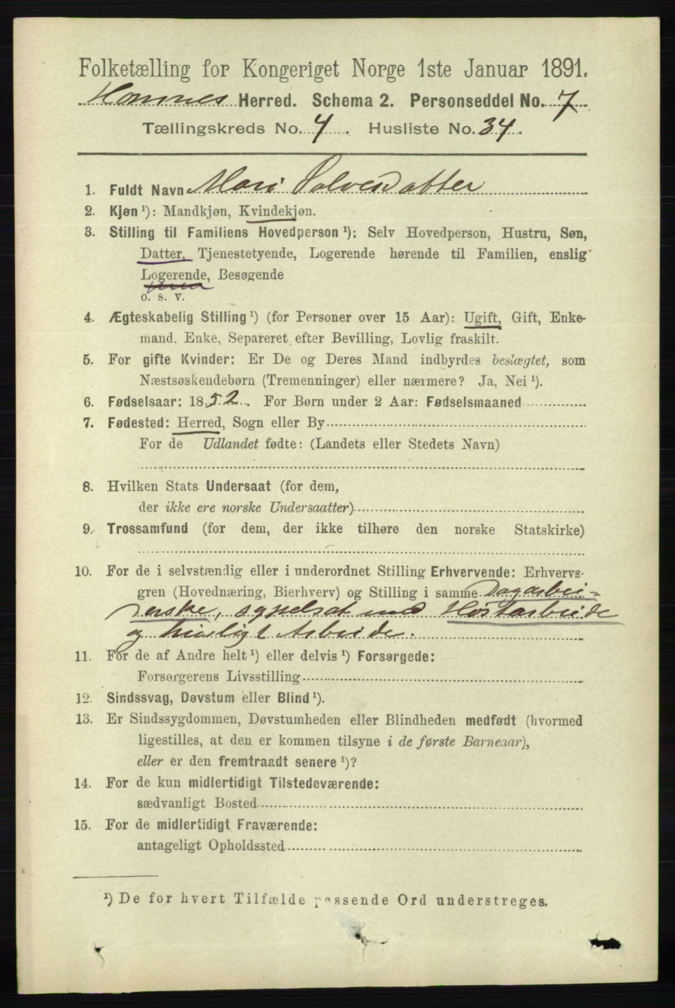 RA, 1891 census for 0936 Hornnes, 1891, p. 1320