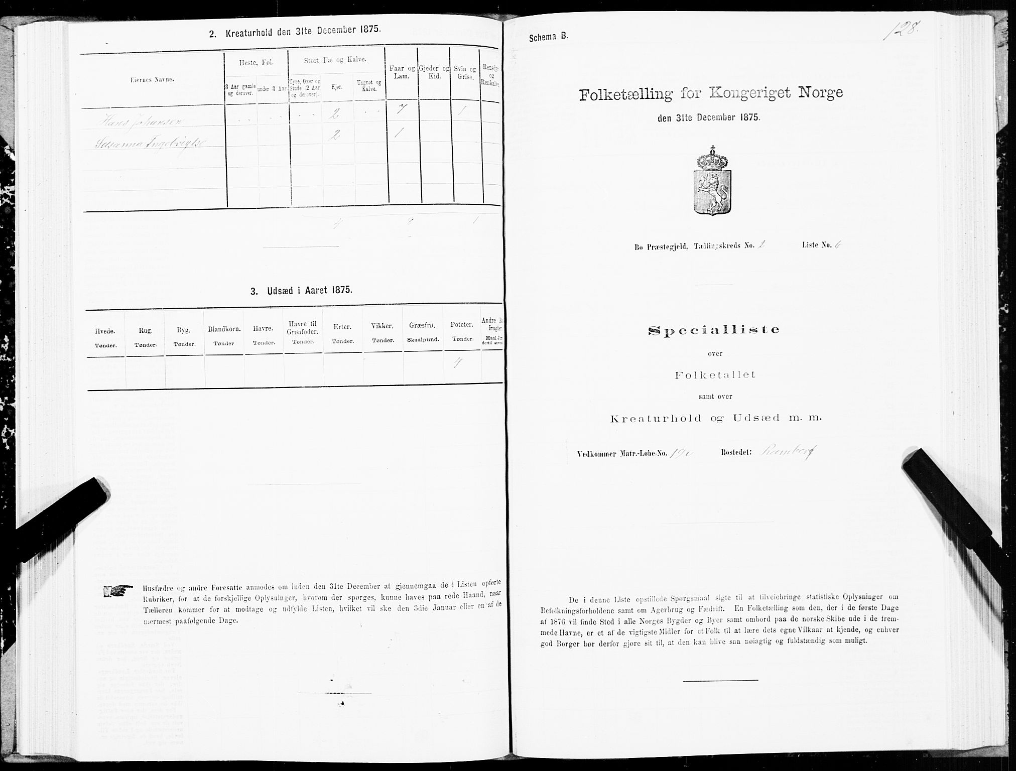 SAT, 1875 census for 1867P Bø, 1875, p. 1128