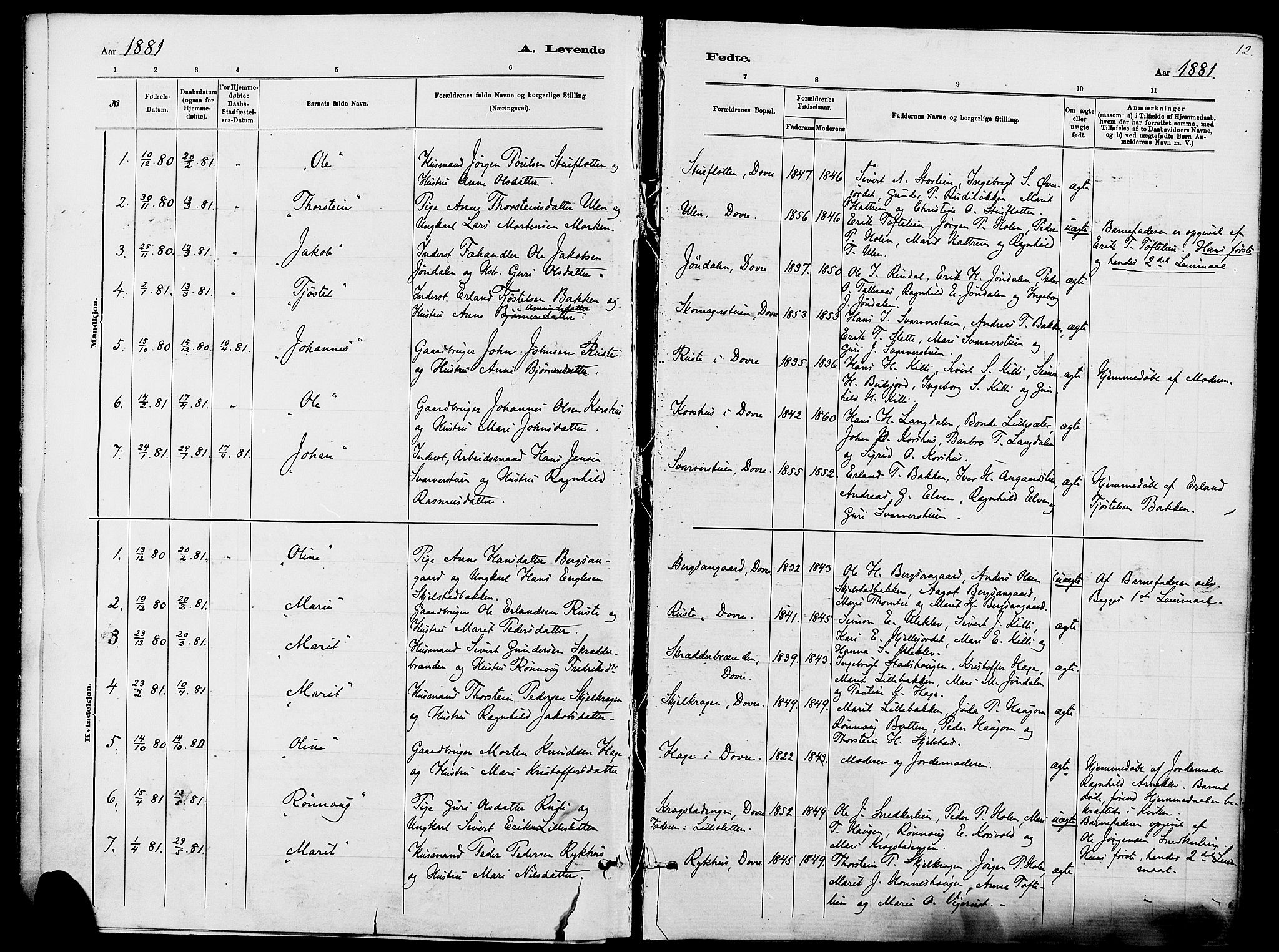 Dovre prestekontor, SAH/PREST-066/H/Ha/Haa/L0002: Parish register (official) no. 2, 1879-1890, p. 12