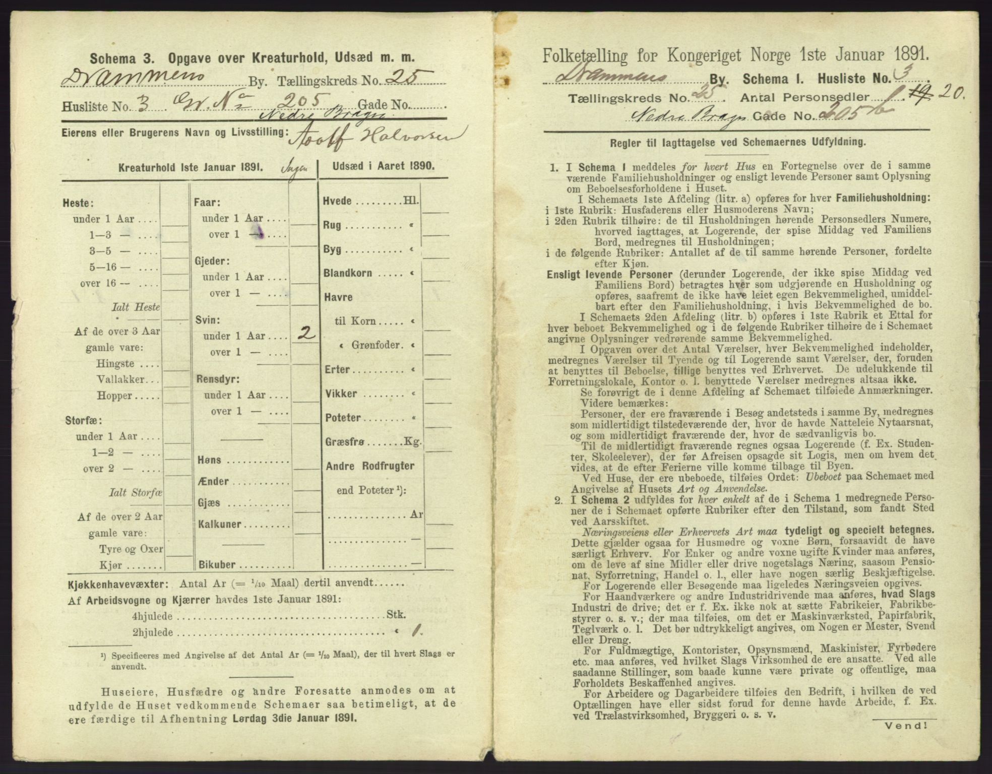 RA, 1891 census for 0602 Drammen, 1891, p. 2079