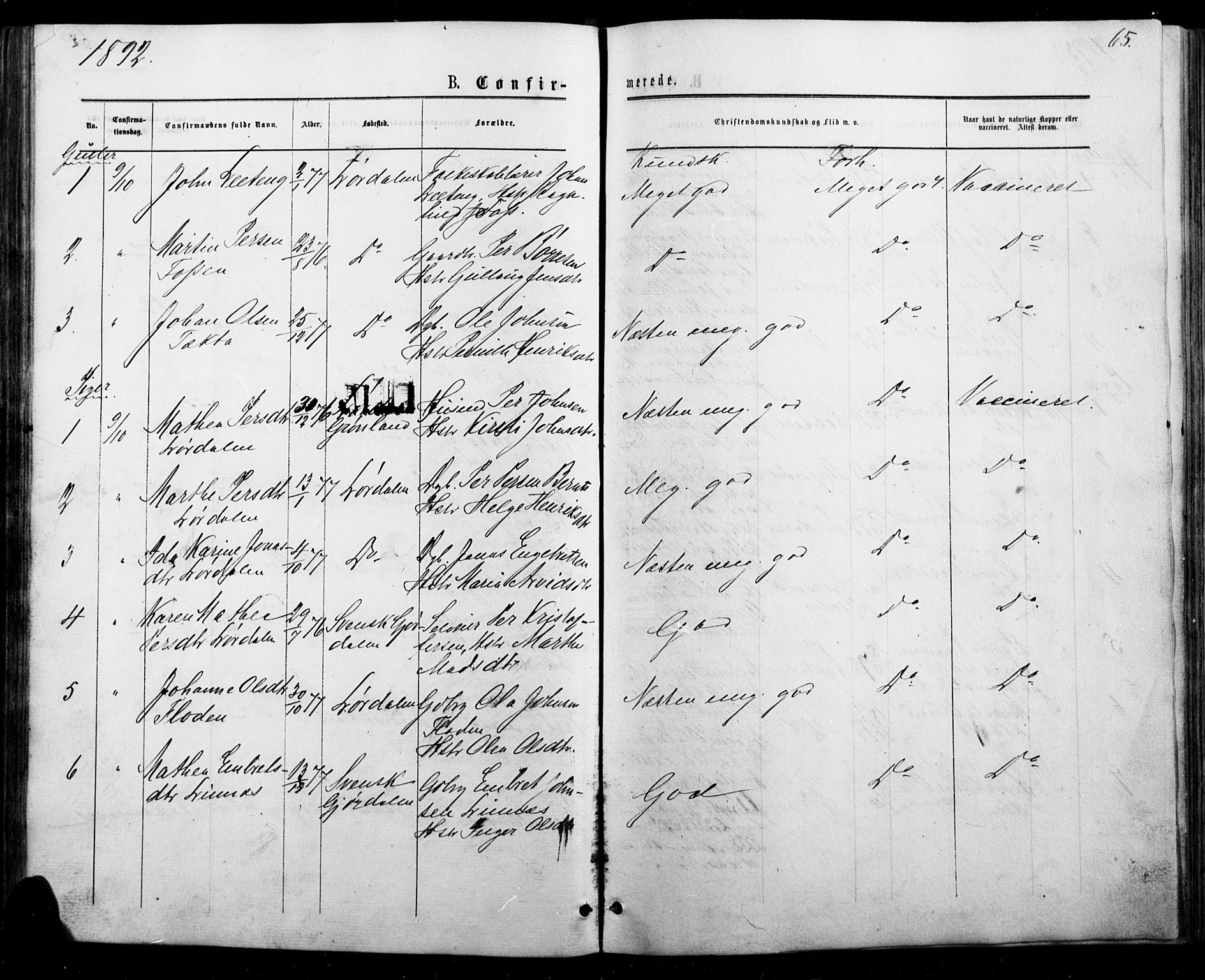 Trysil prestekontor, AV/SAH-PREST-046/H/Ha/Haa/L0010: Parish register (official) no. 10, 1872-1895, p. 65