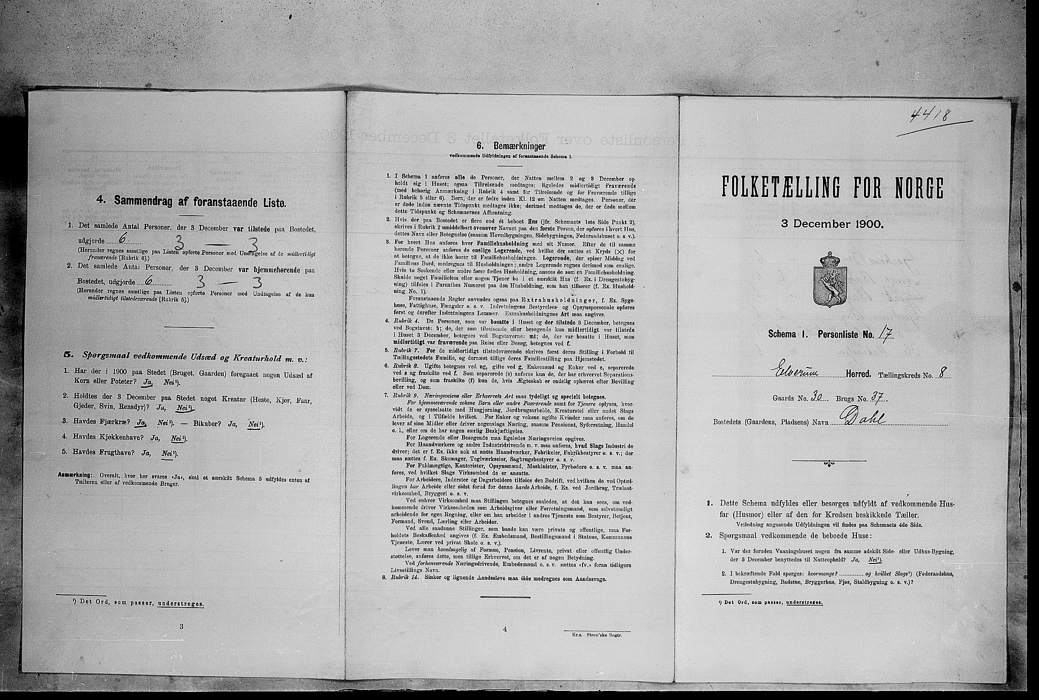 SAH, 1900 census for Elverum, 1900, p. 917